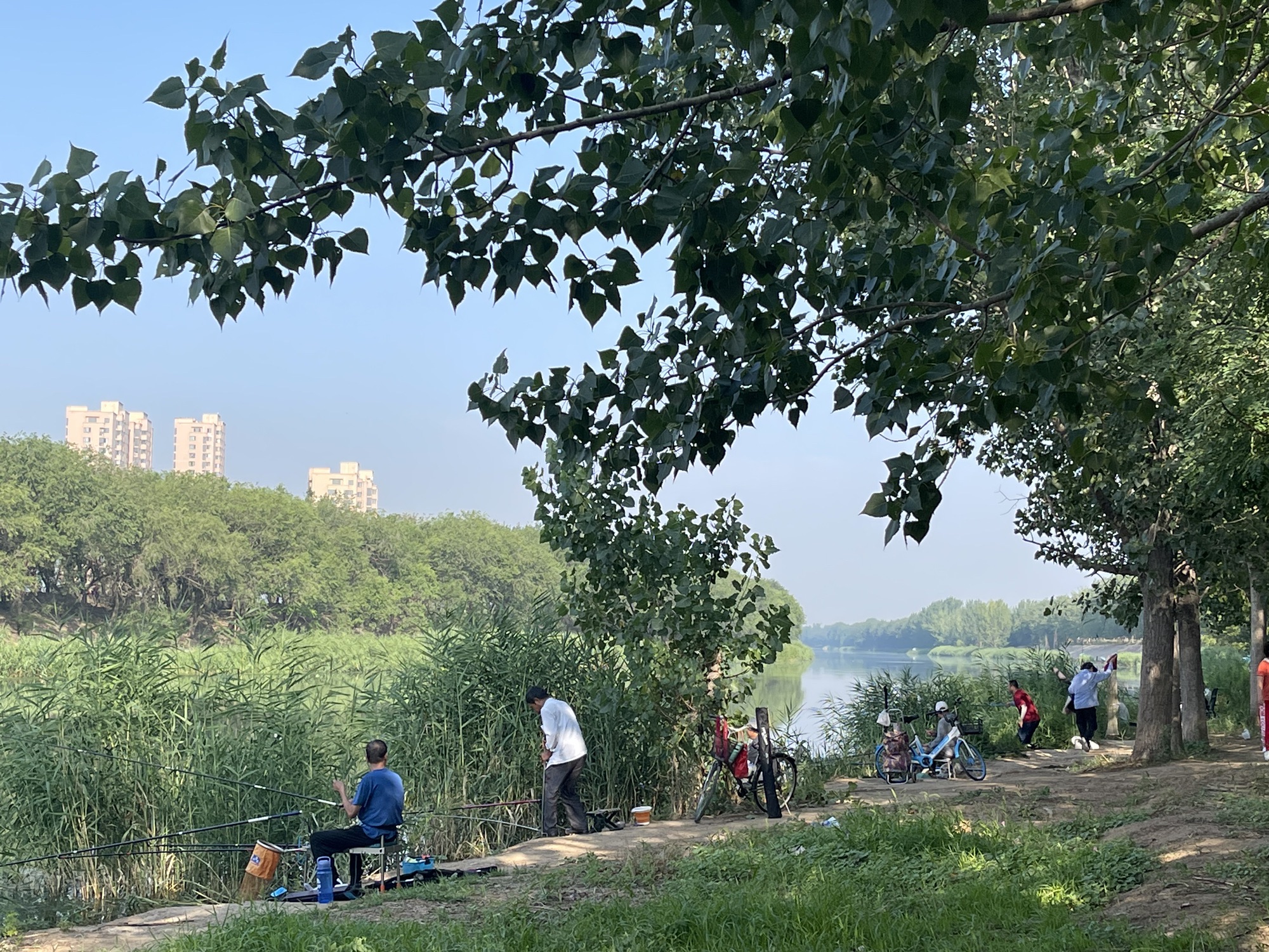 子牙河堤岸公园旅行图片 3