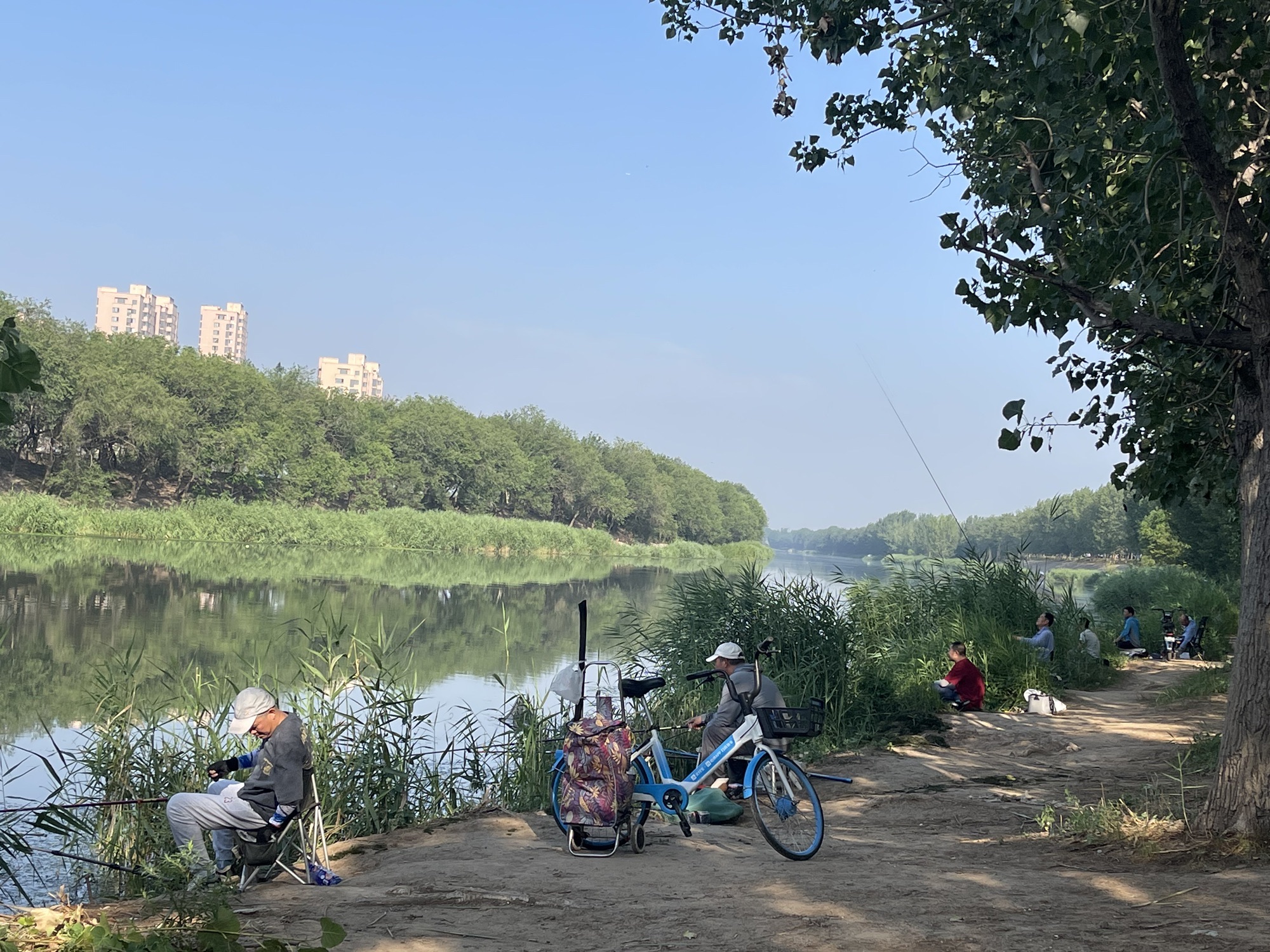 子牙河堤岸公园旅行图片 2