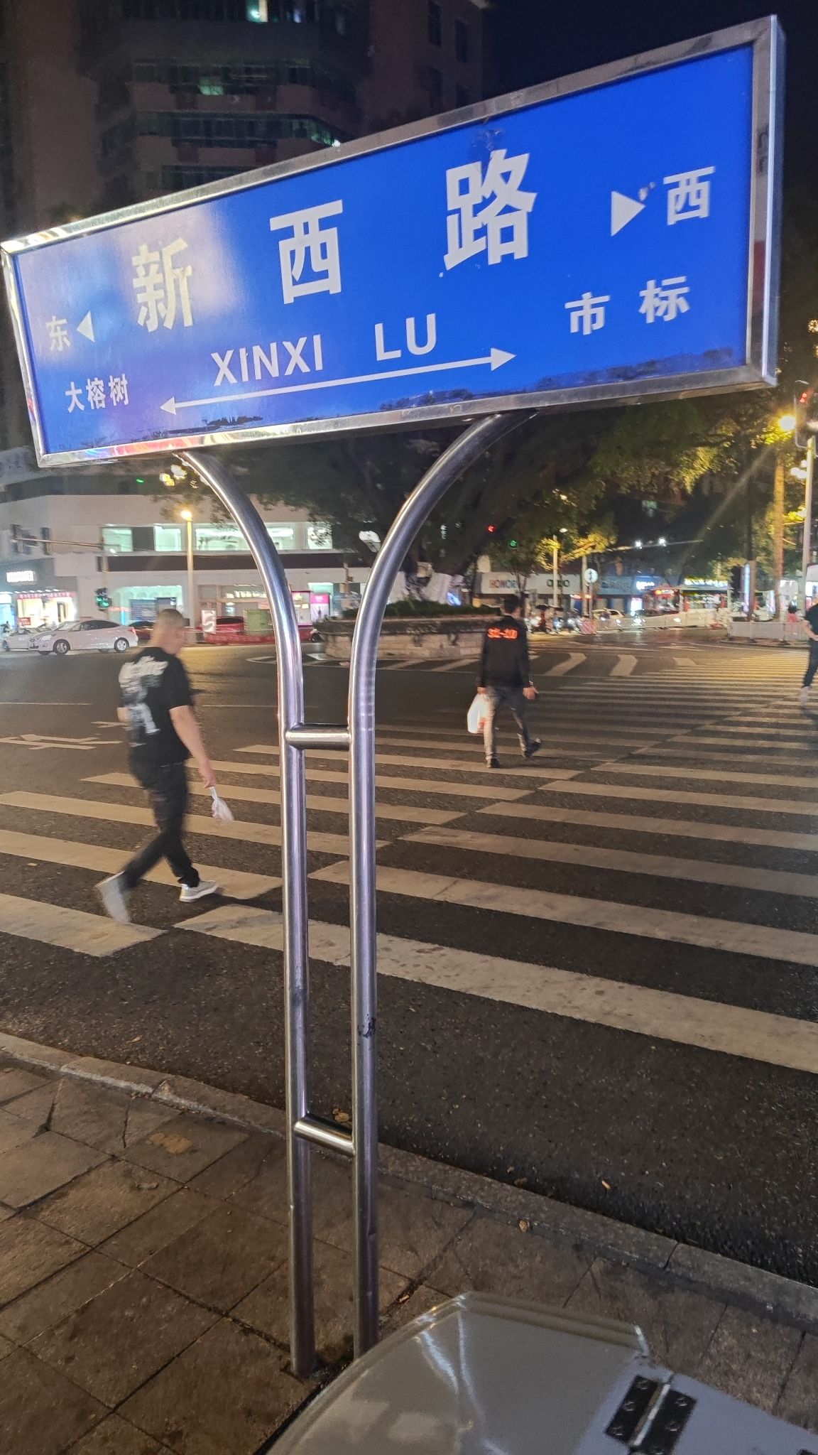 大榕树旅行图片 1