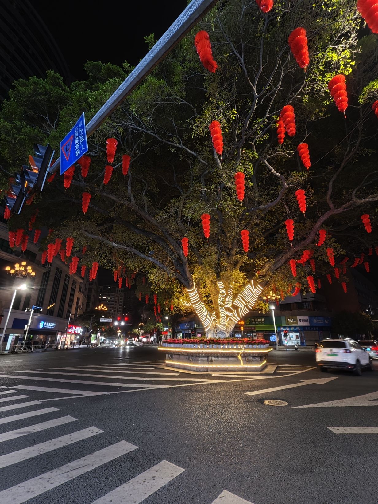 大榕树旅行图片 3