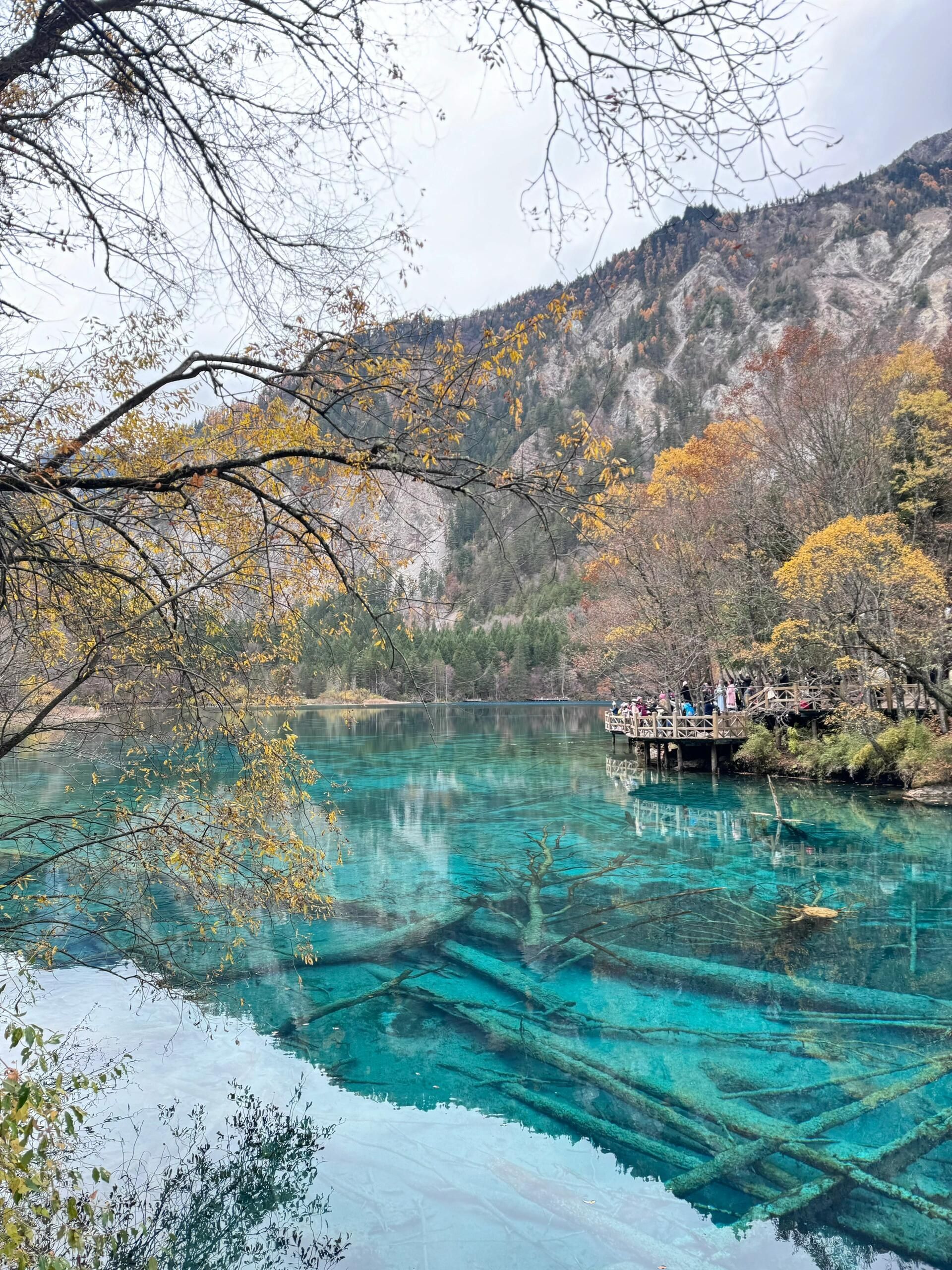 九寨宋城旅游区旅行图片 1