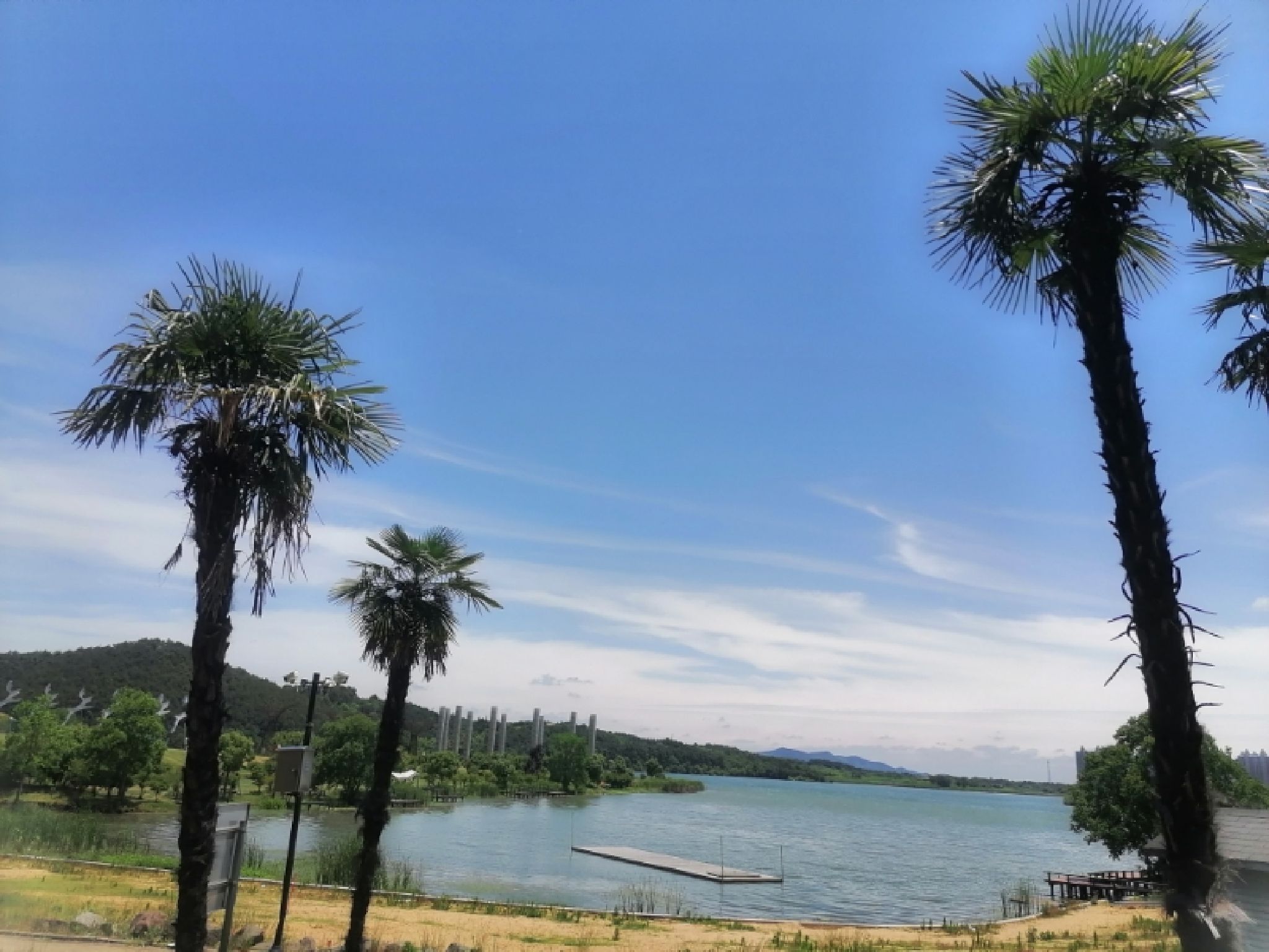 南京卧龙湖水库水利风景区旅行图片 1