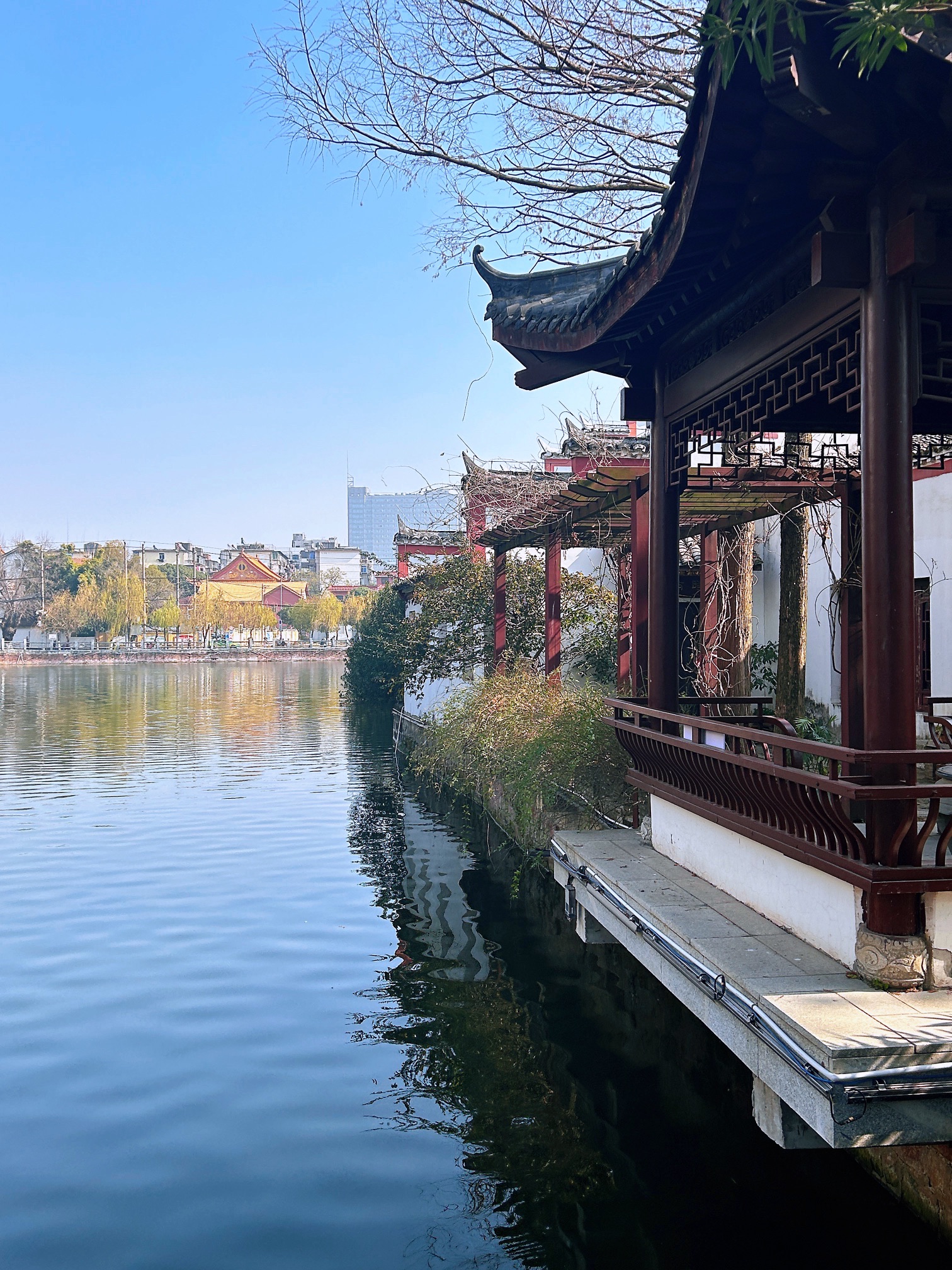百花洲旅行图片 1