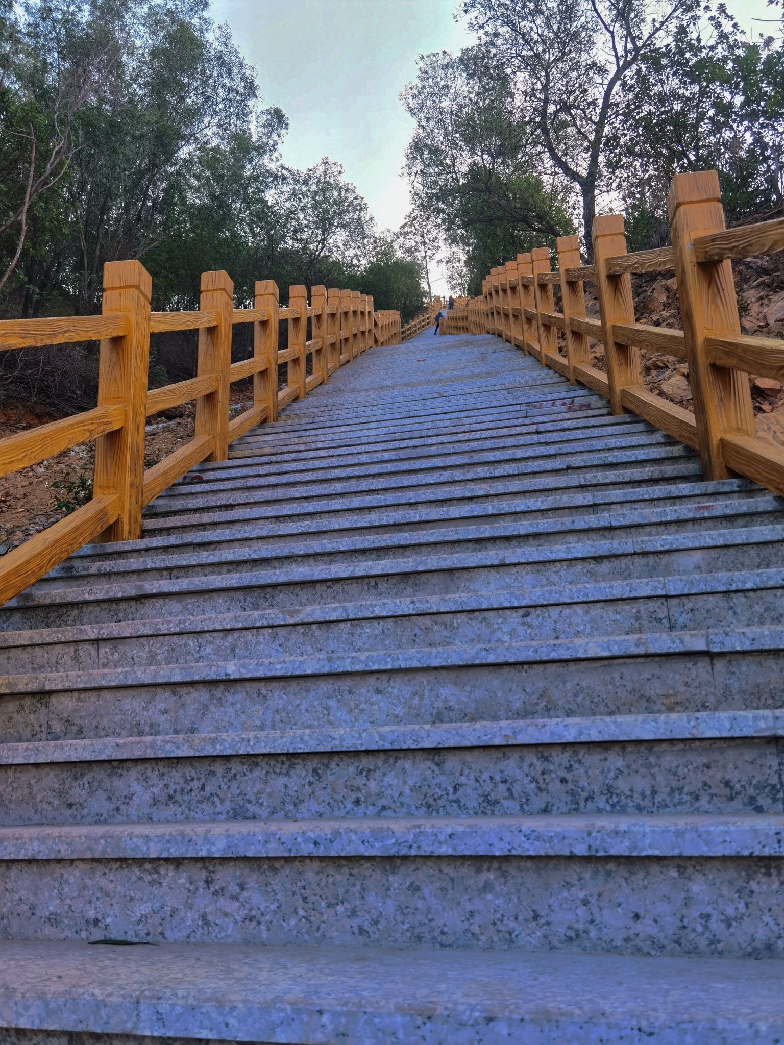 麒麟山森林公园旅行图片 1