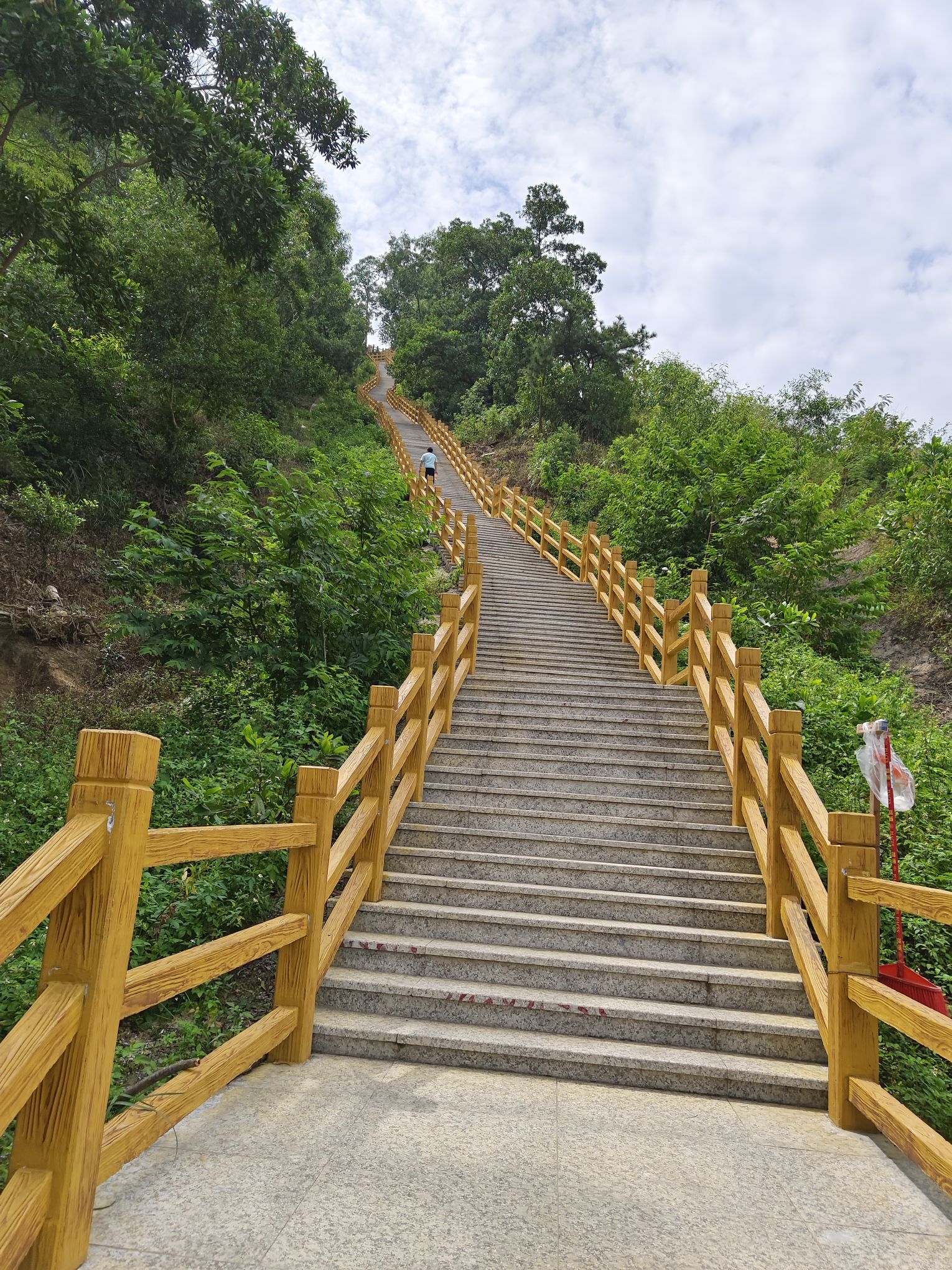 麒麟山森林公园旅行图片 3