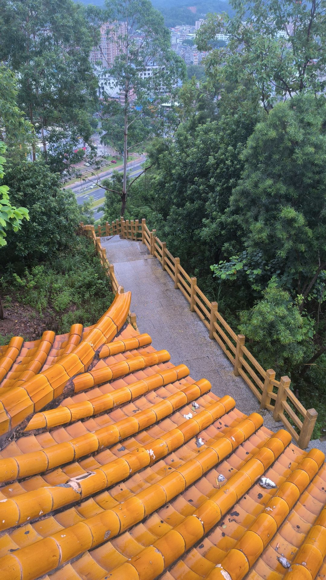 麒麟山森林公园旅行图片 2