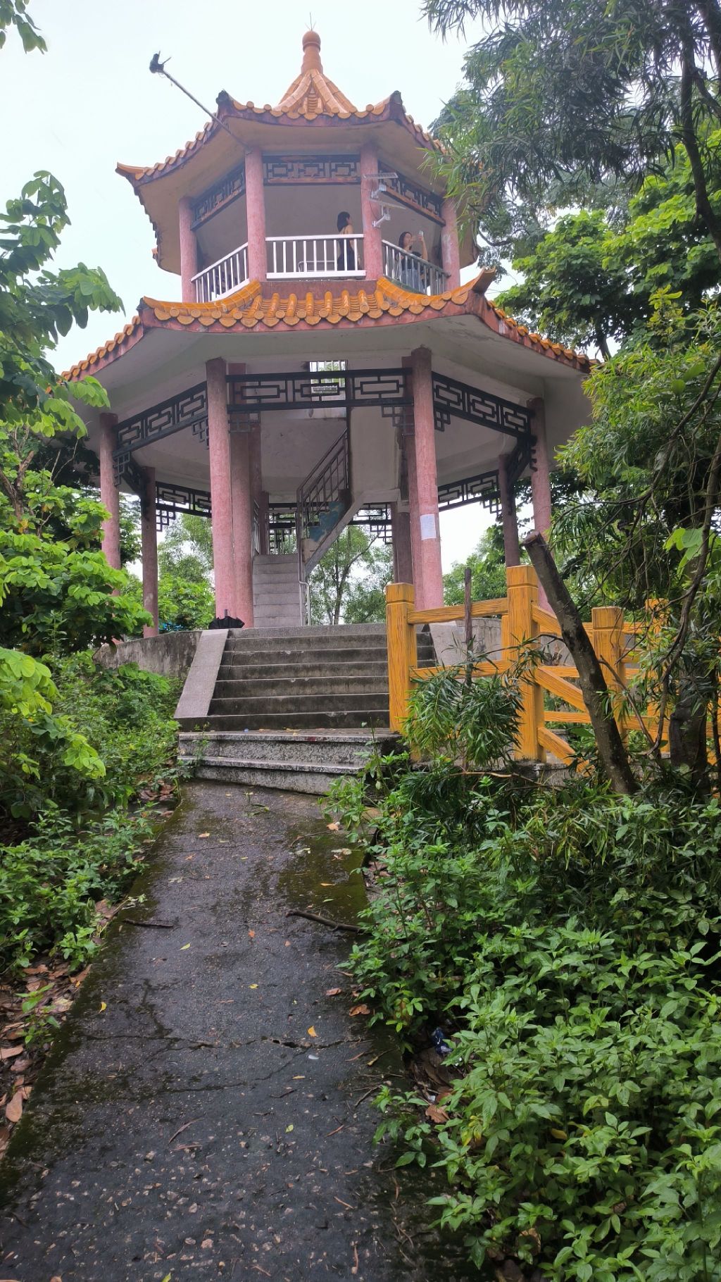 麒麟山森林公园旅行图片 1