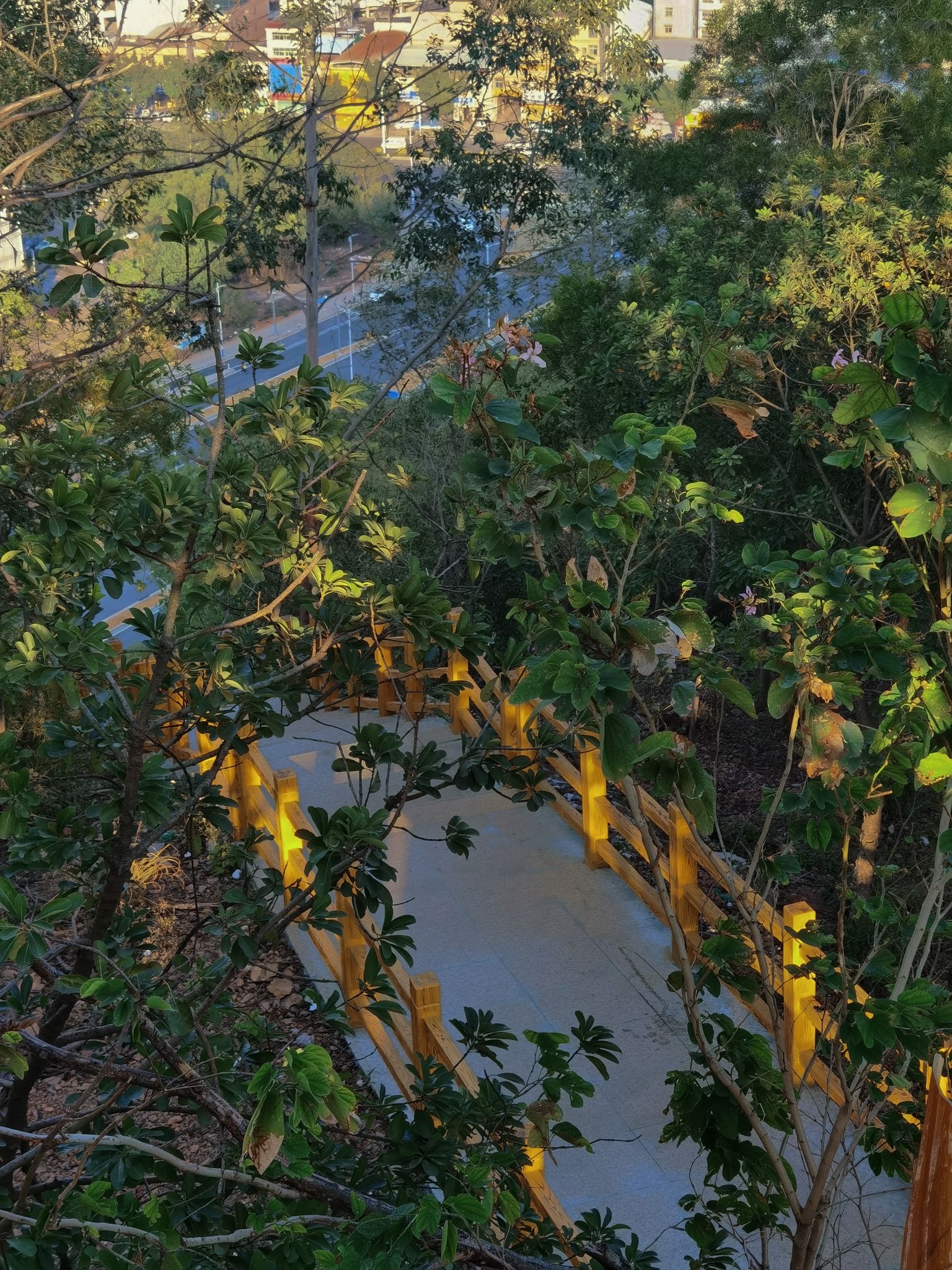 麒麟山森林公园旅行图片 2