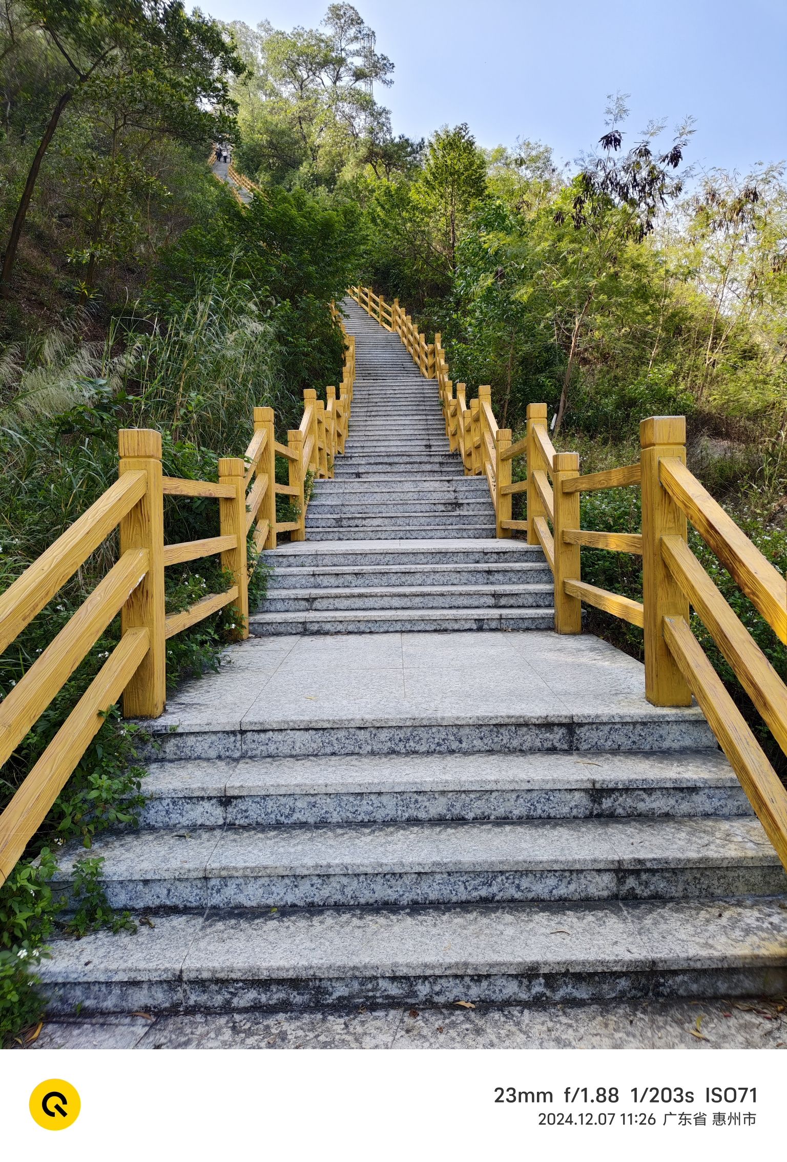 麒麟山森林公园旅行图片 2