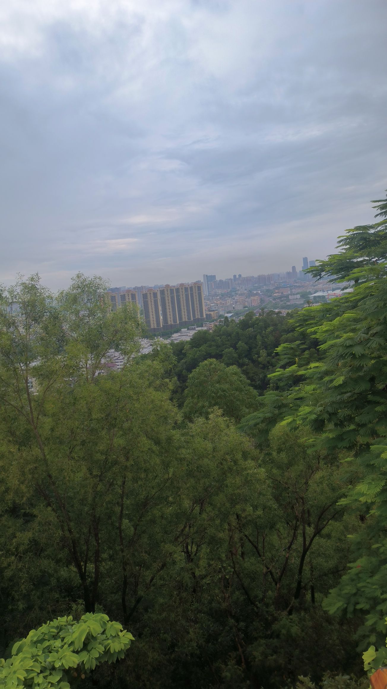 麒麟山森林公园旅行图片 3
