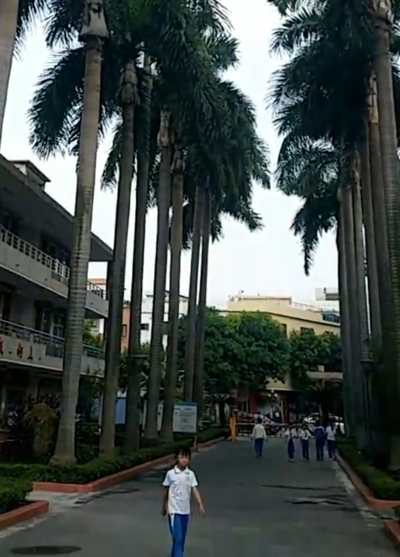 中山职业技术学院小榄学院