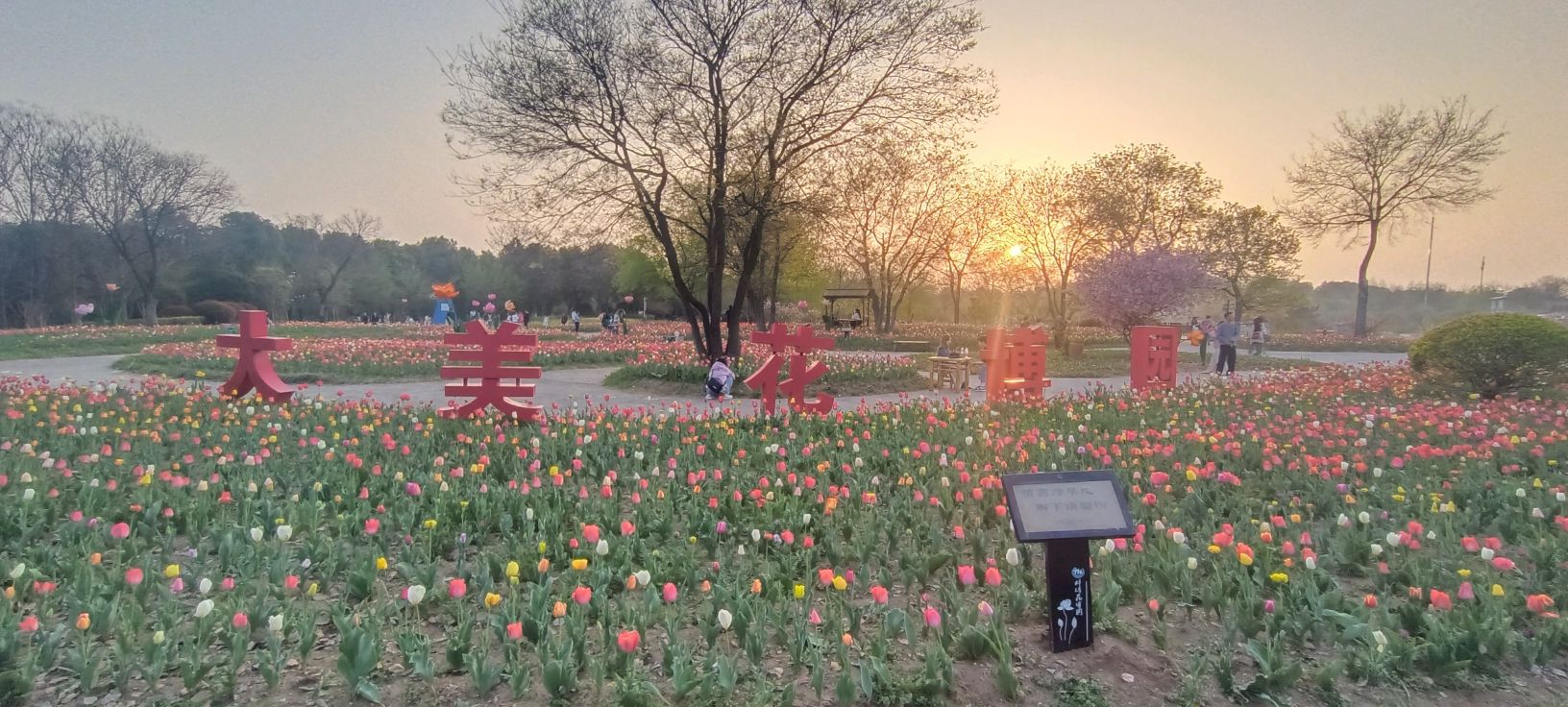 安徽蚌埠·花博园旅行图片 3