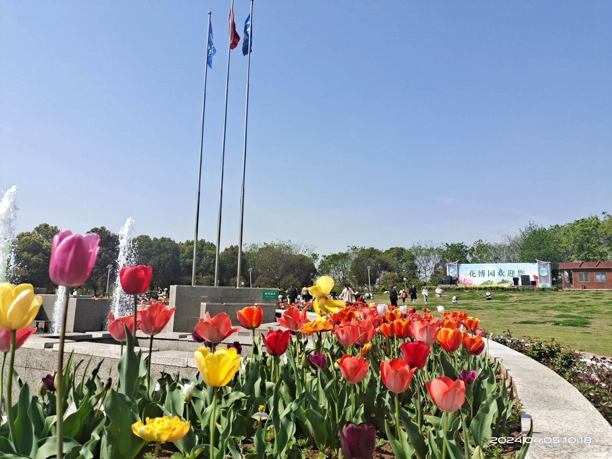 安徽蚌埠·花博园旅行图片 1