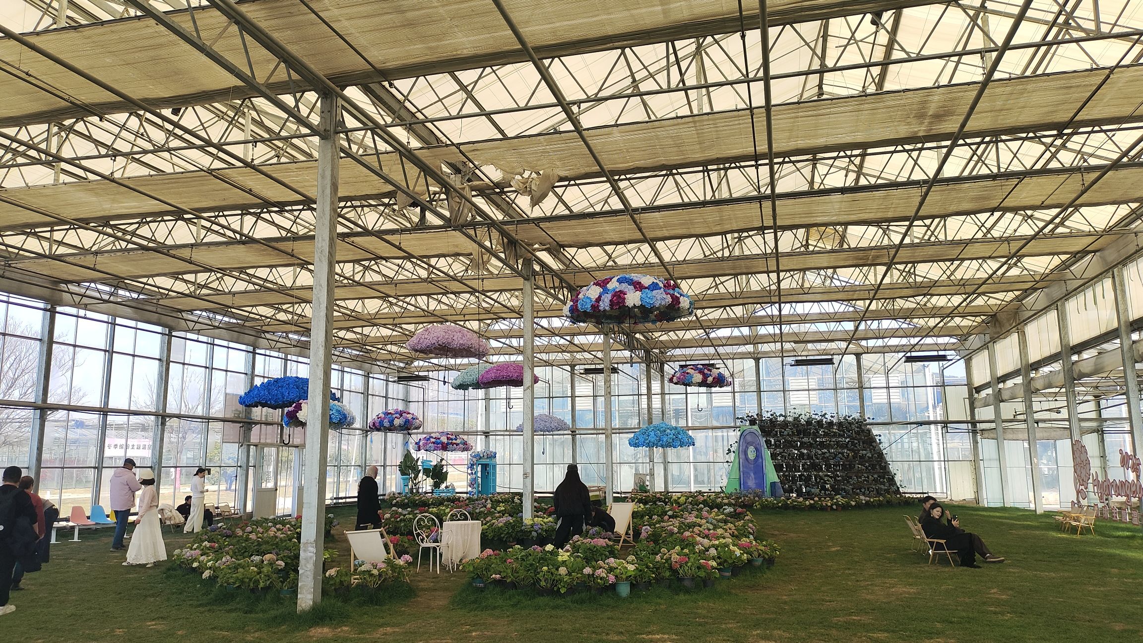安徽蚌埠·花博园旅行图片 3