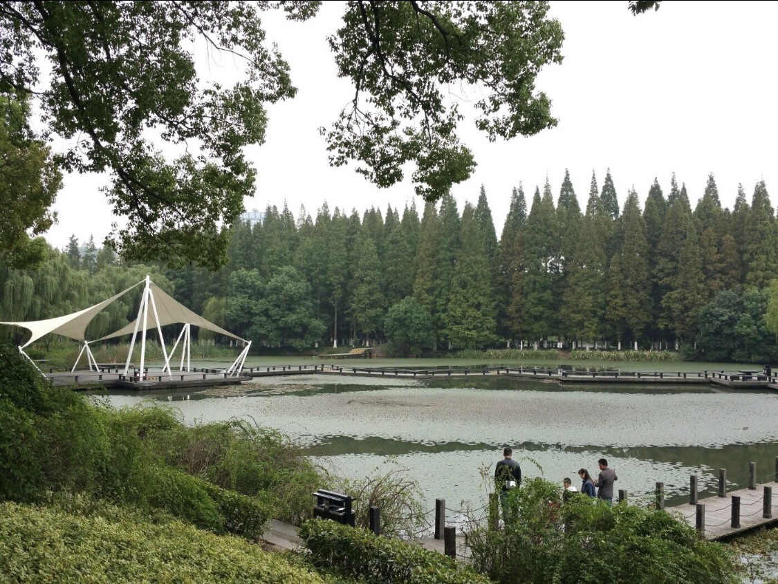 芙蓉湖公园旅行图片 2