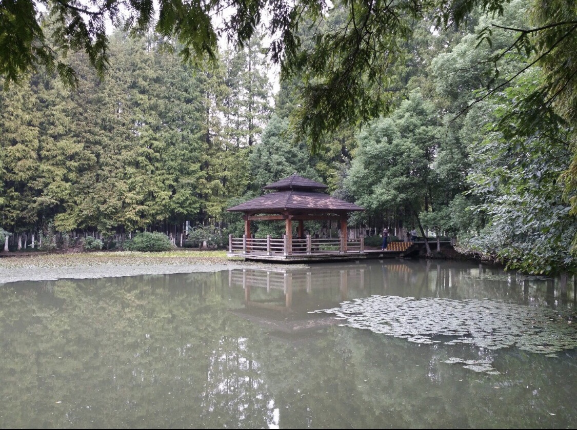 芙蓉湖公园旅行图片 3