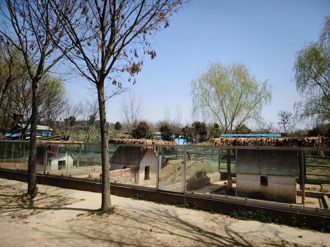 水墨大埝旅游区旅行图片 2