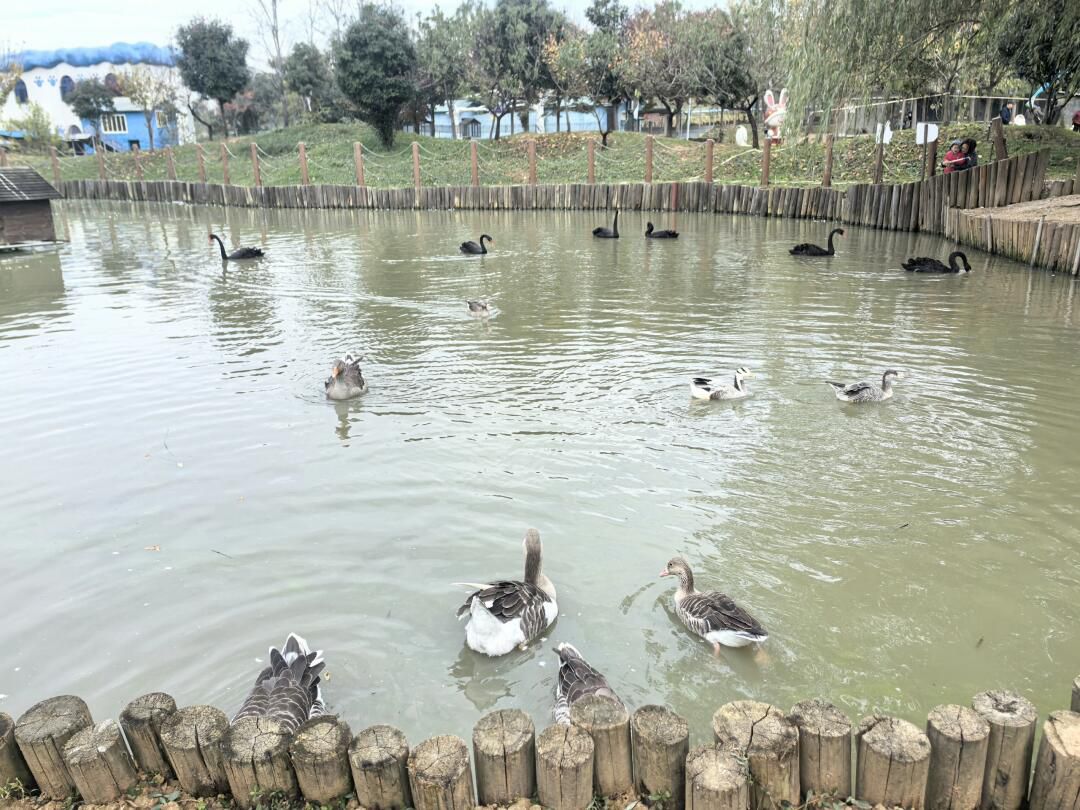 水墨大埝旅游区旅行图片 1