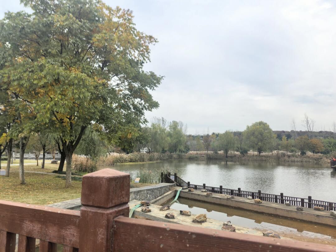 水墨大埝旅游区旅行图片 3