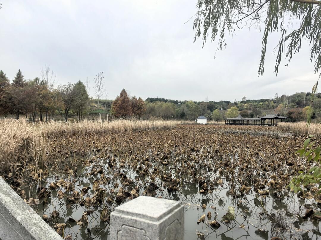 水墨大埝旅游区旅行图片 2