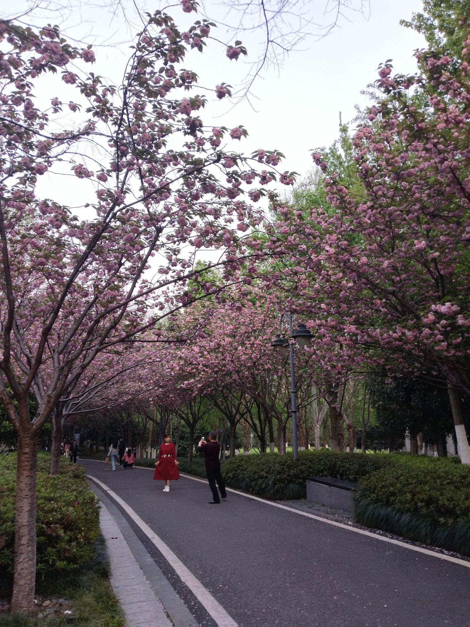 王家墩公园旅行图片 2