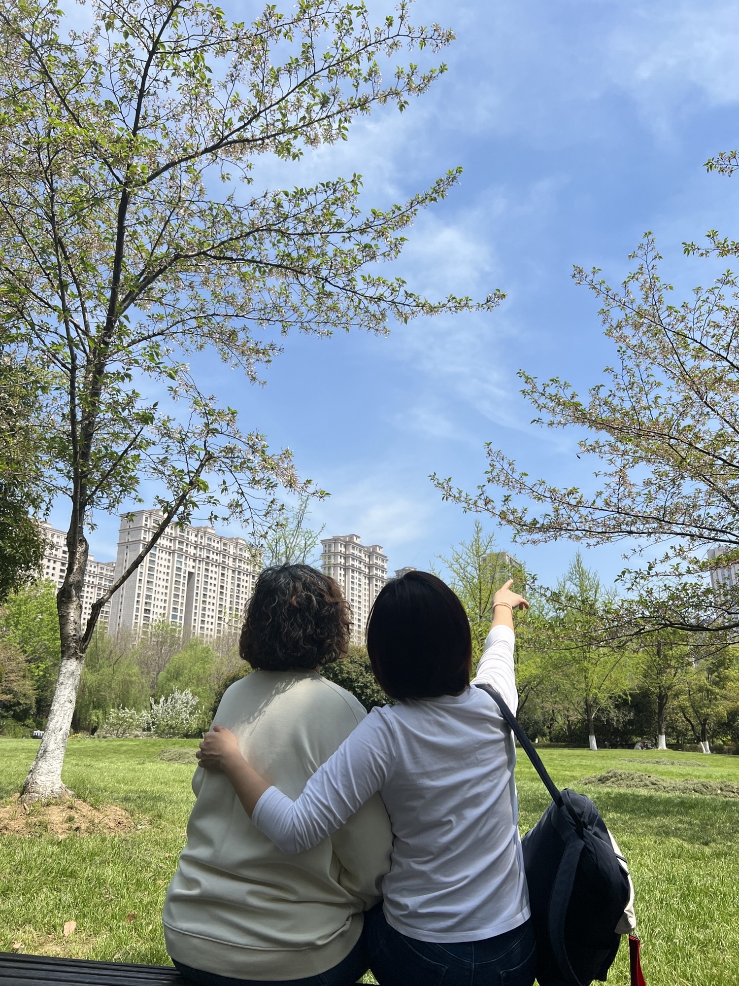 王家墩公园旅行图片 2