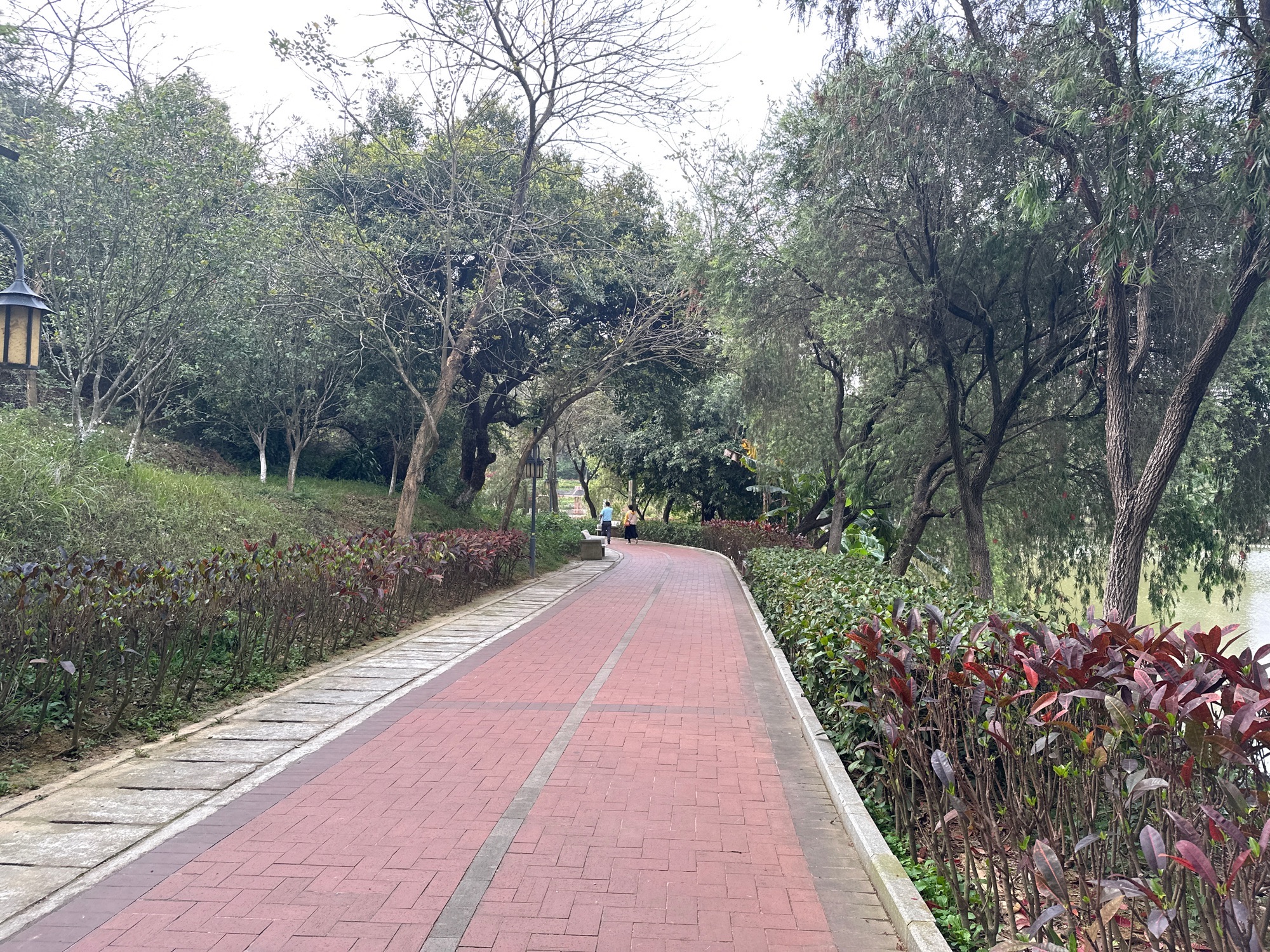 丰乐公园旅行图片 1