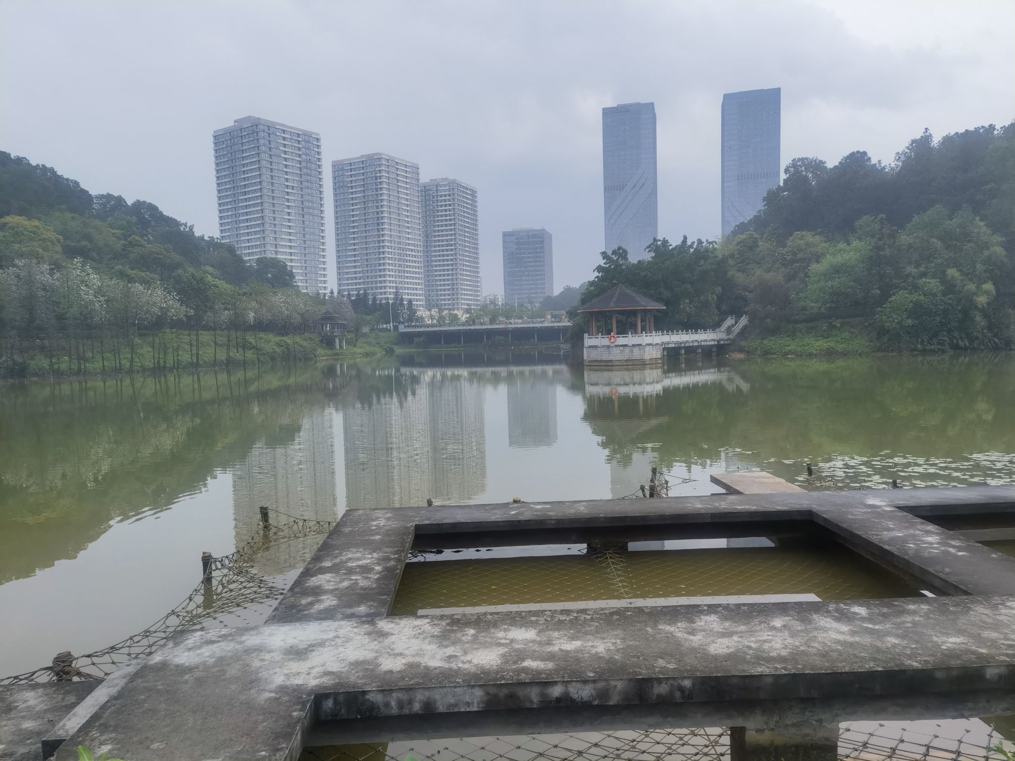 丰乐公园旅行图片 1