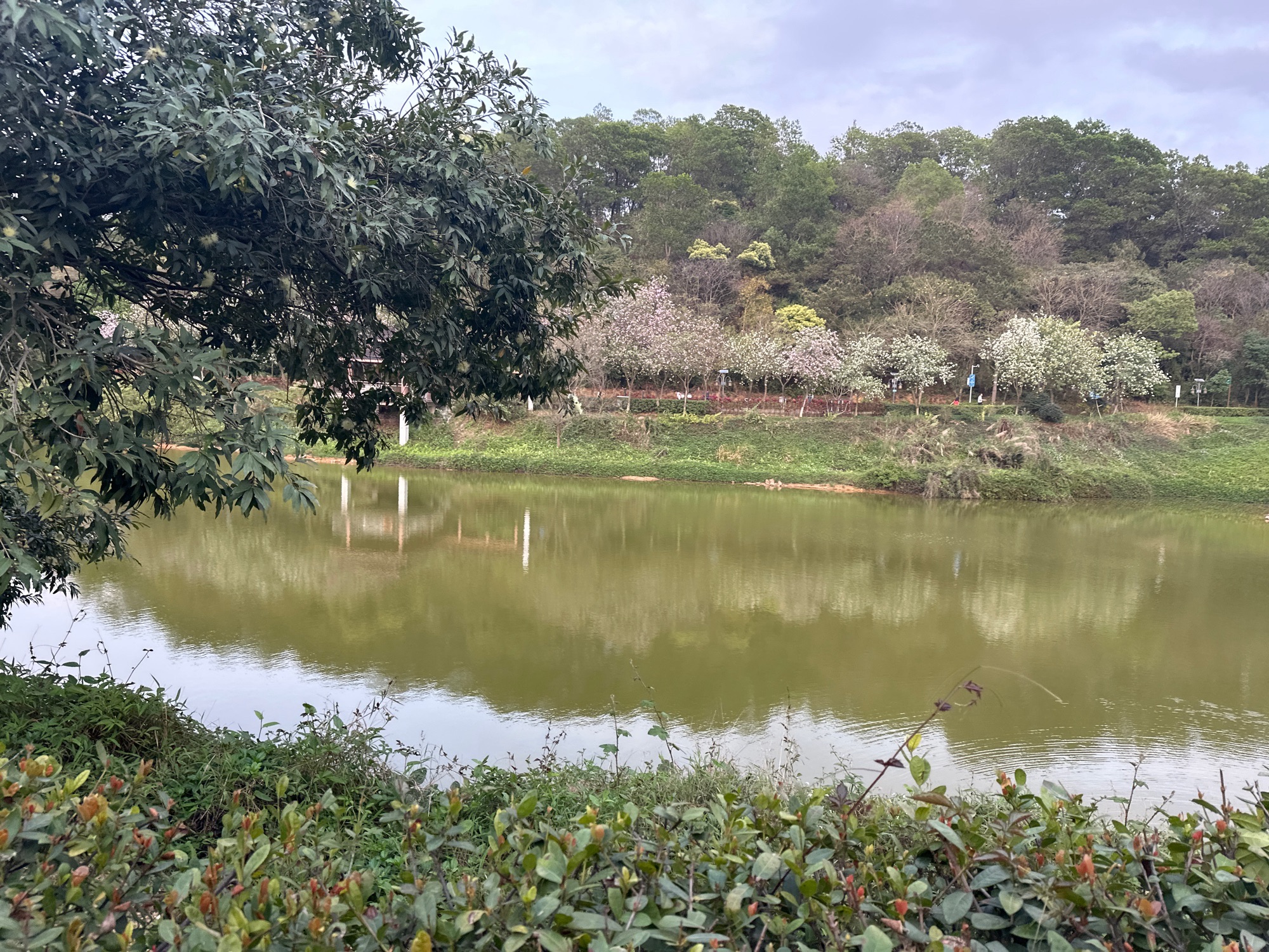 丰乐公园旅行图片 2