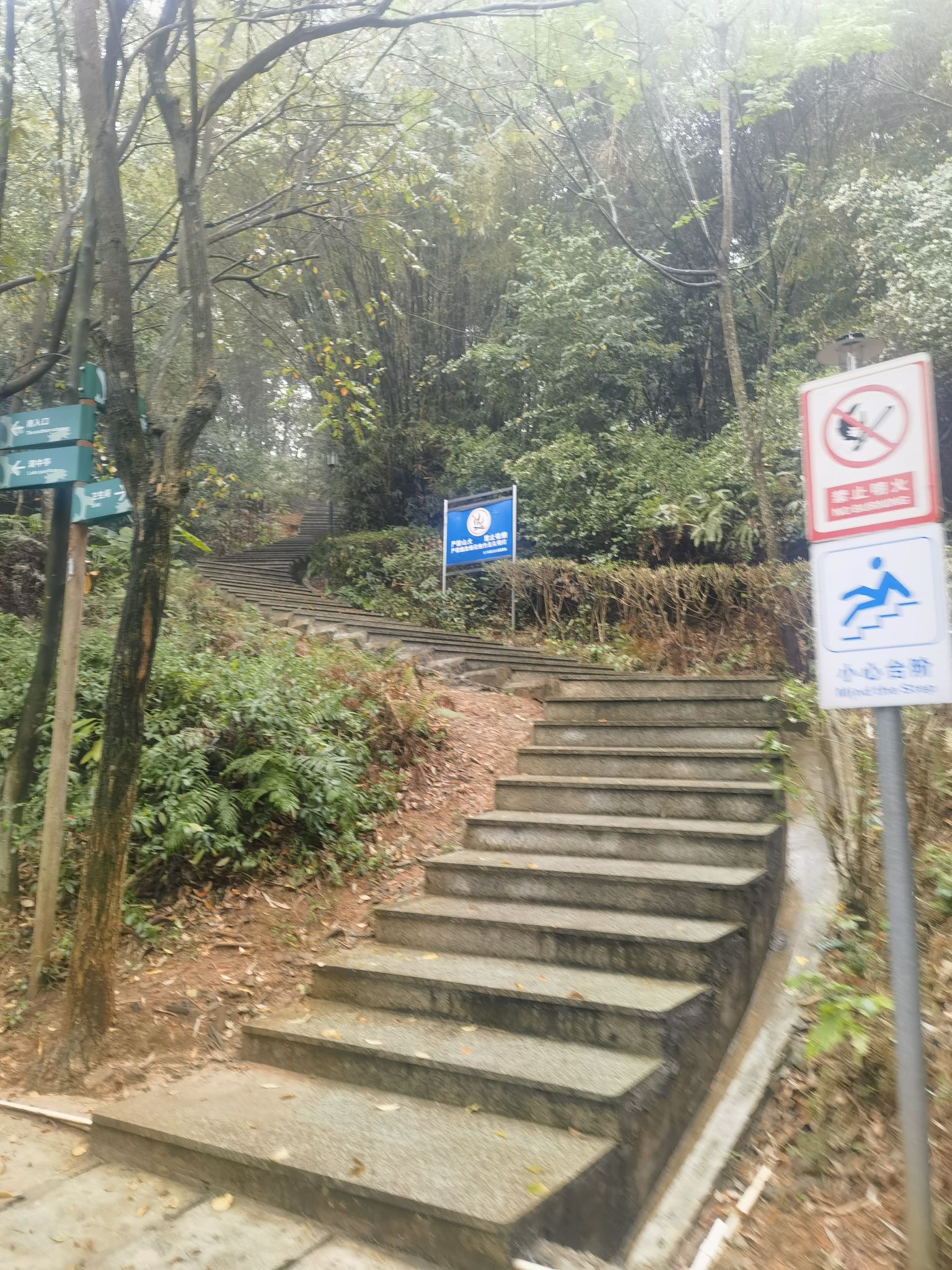 丰乐公园旅行图片 3