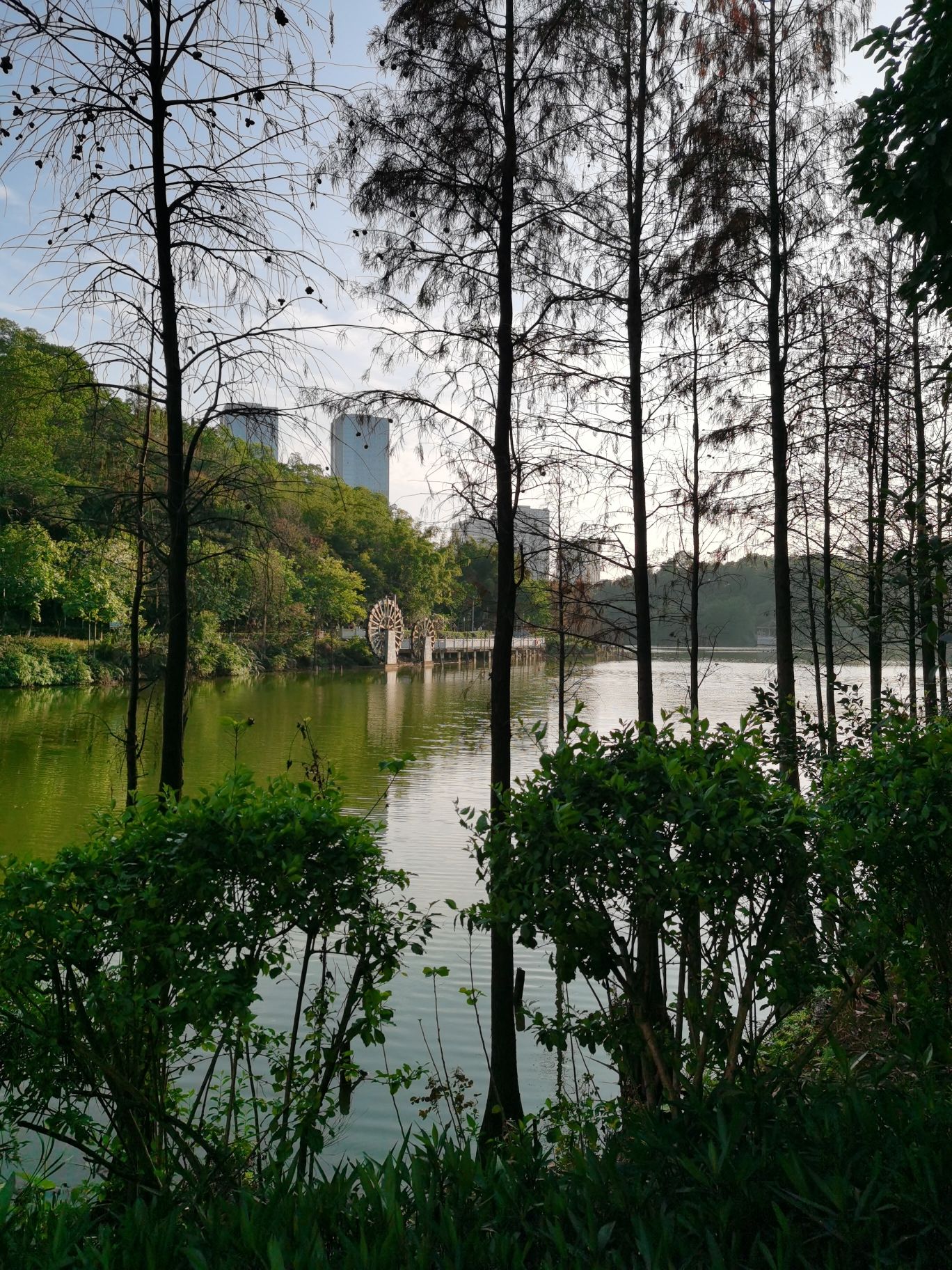 丰乐公园旅行图片 3