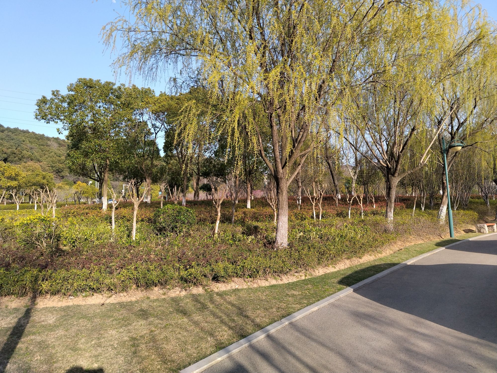 滨江生态公园旅行图片 3