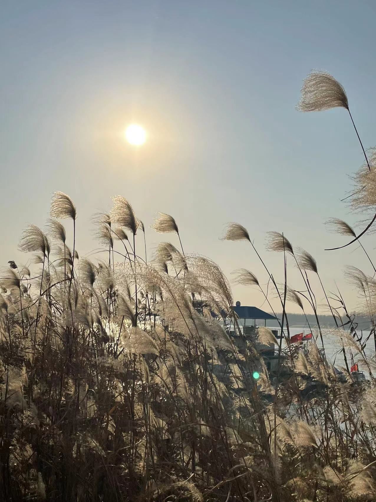 滨江生态公园旅行图片 3