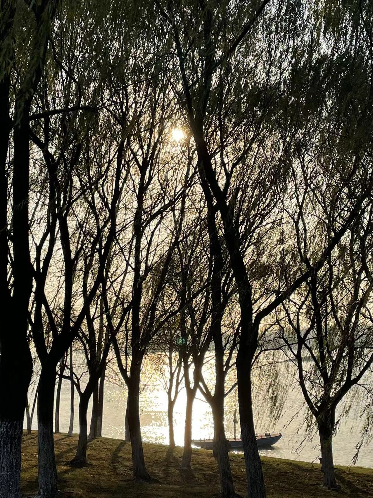 滨江生态公园旅行图片 1