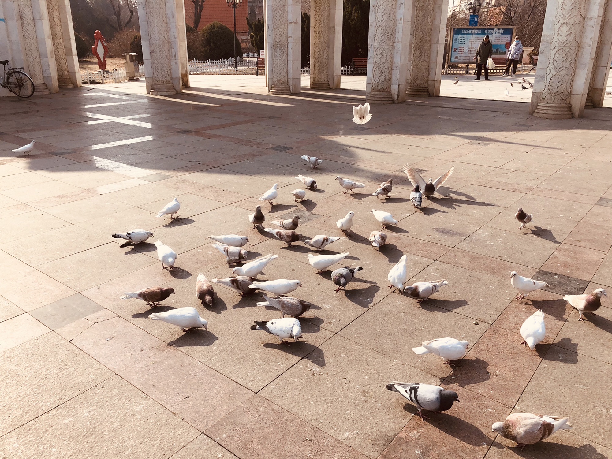 天通苑街心花园旅行图片 2