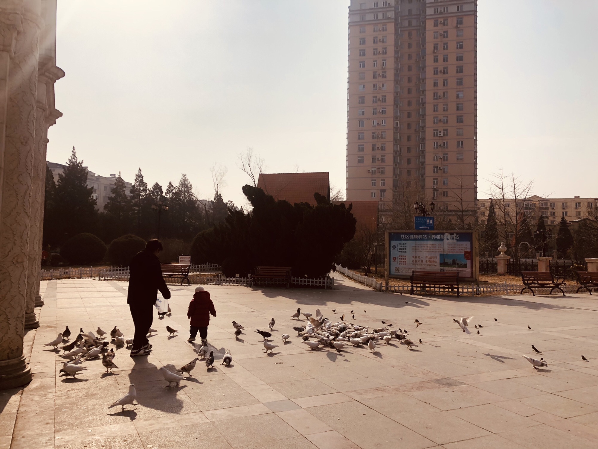 天通苑街心花园旅行图片 2