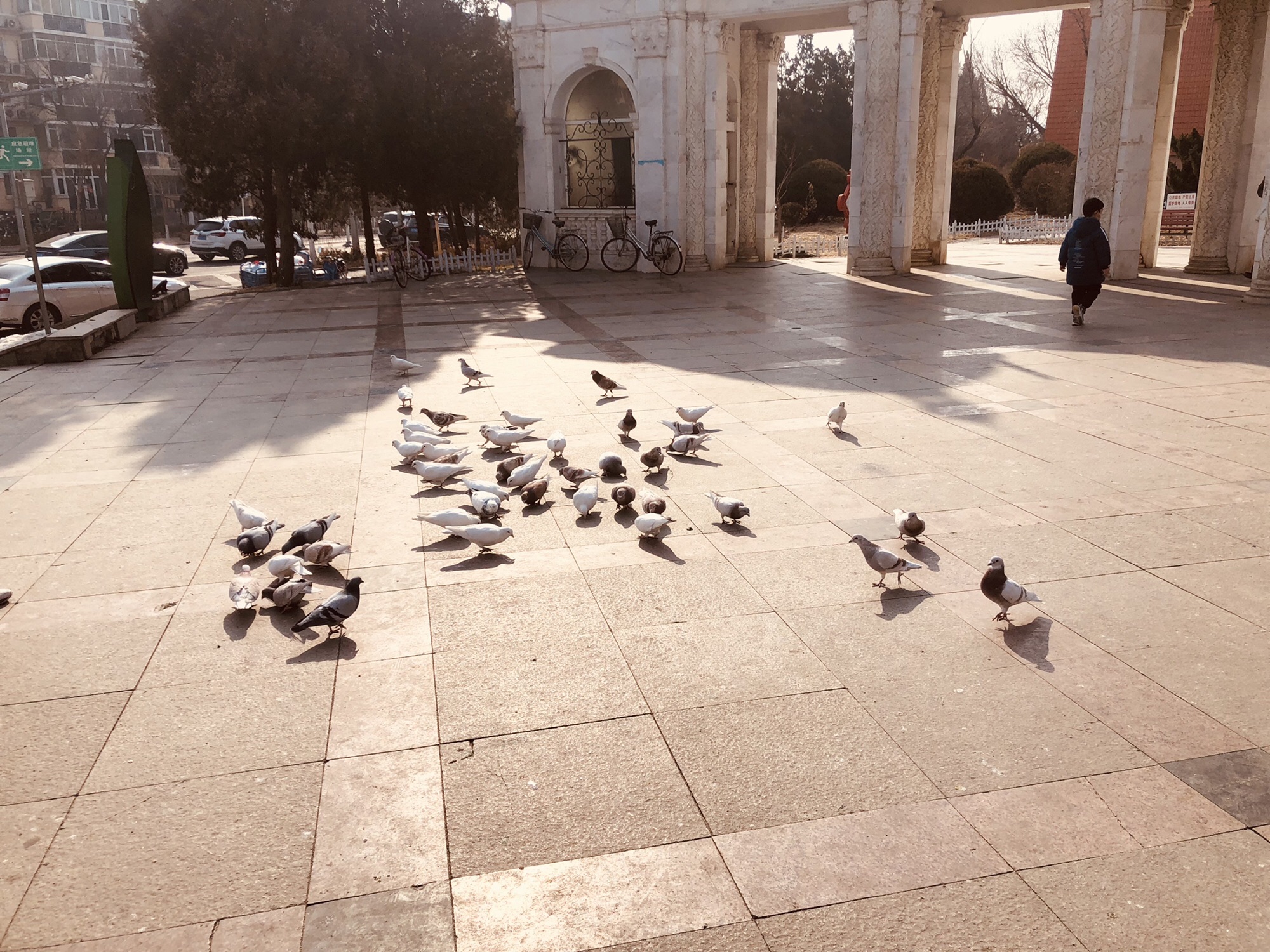 天通苑街心花园旅行图片 3
