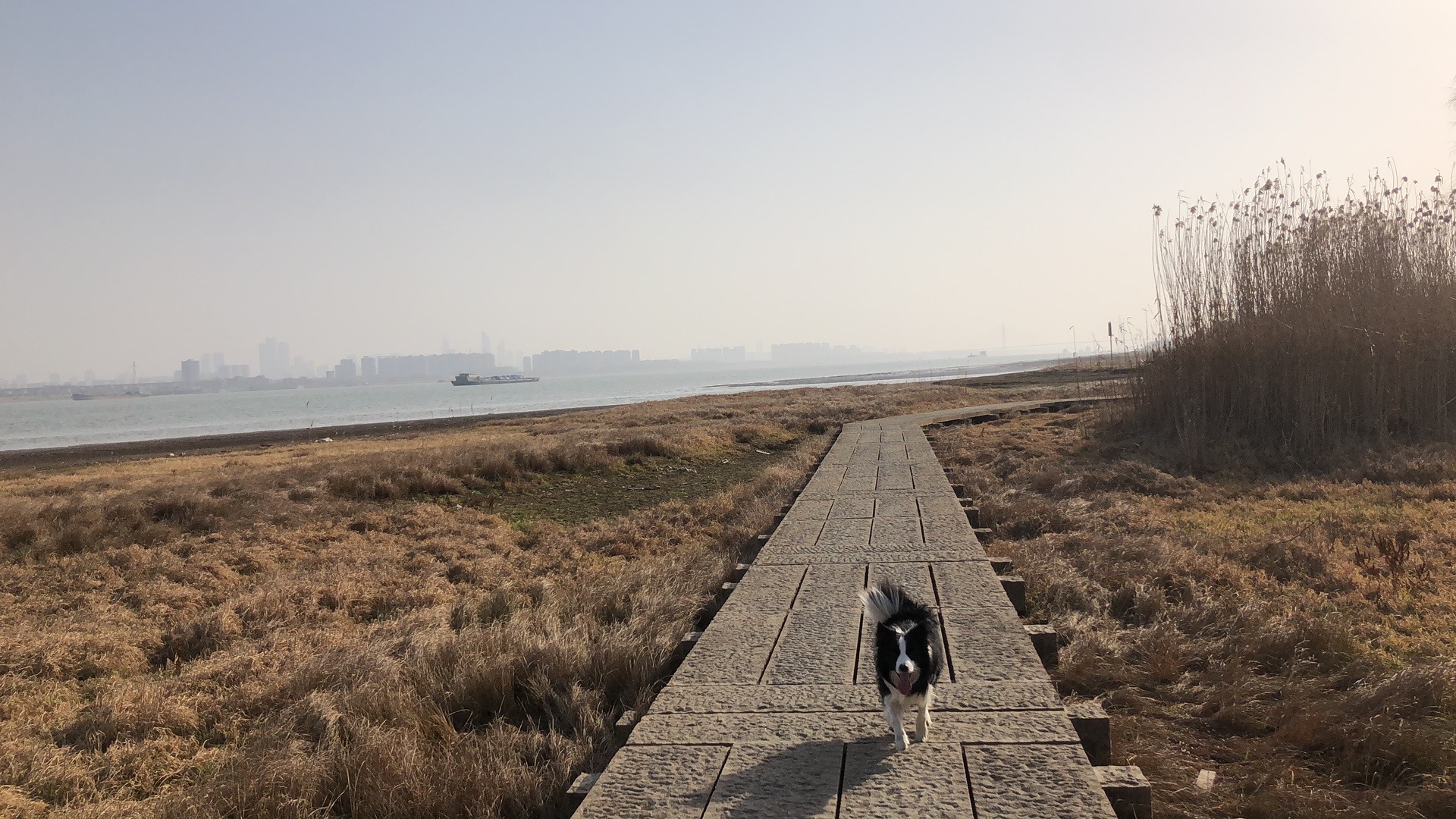 浦口滨江湿地公园旅行图片 1