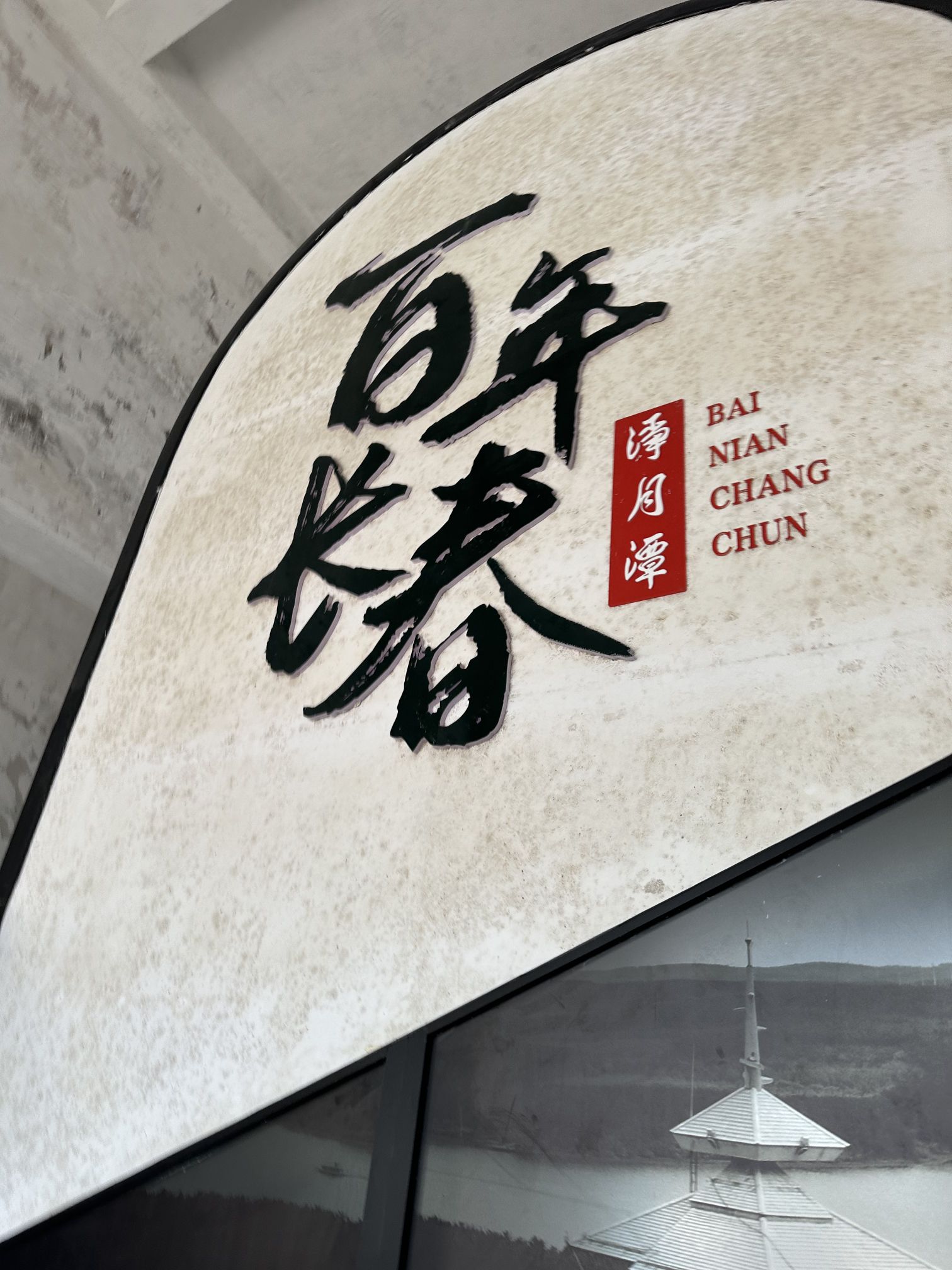 净月潭国家森林公园-碧松净月塔楼