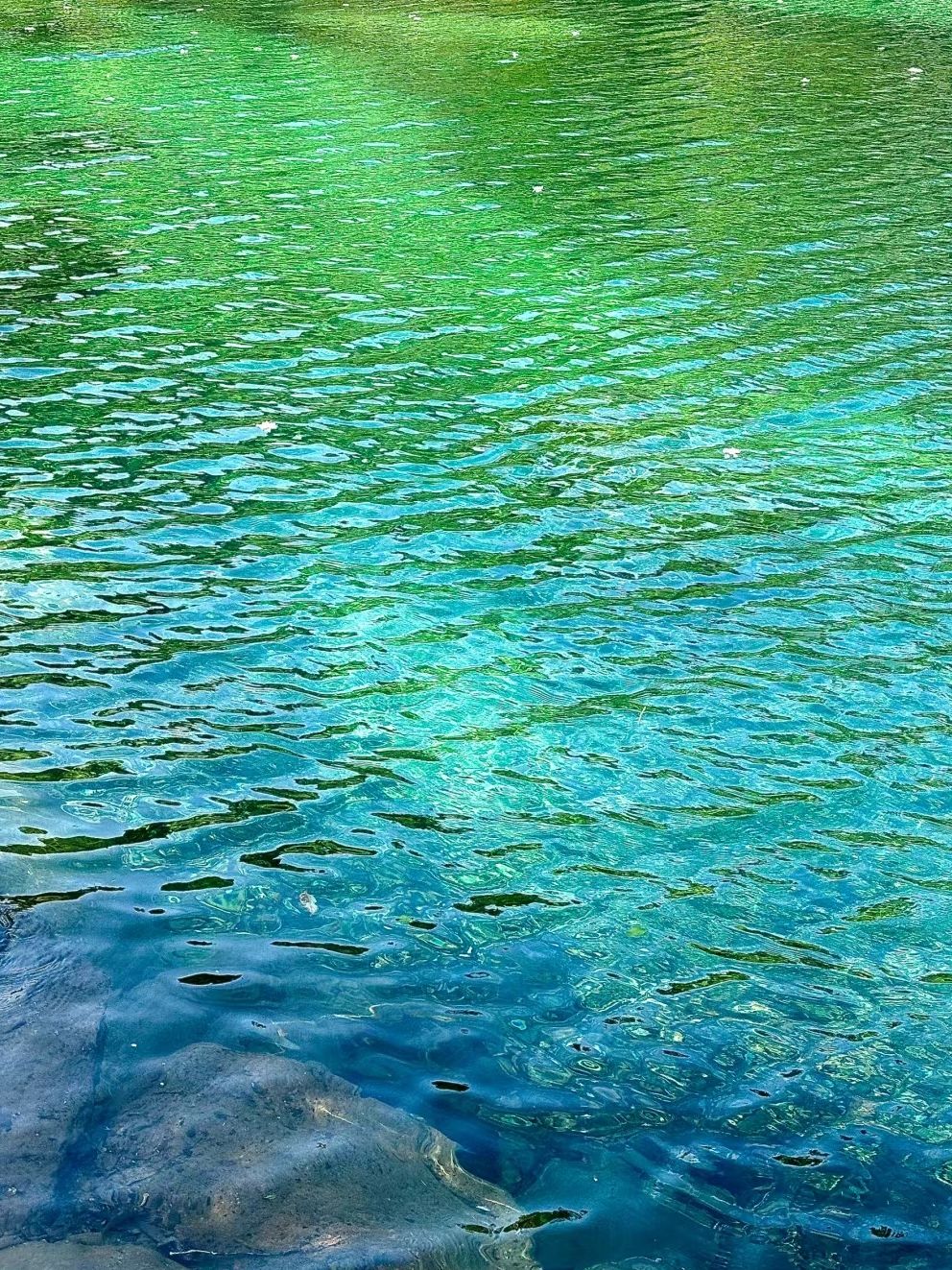 石台县牯牛降景区旅行图片 2