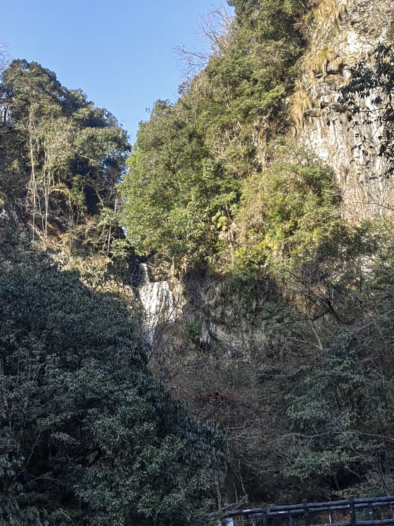 石台县牯牛降景区旅行图片 2