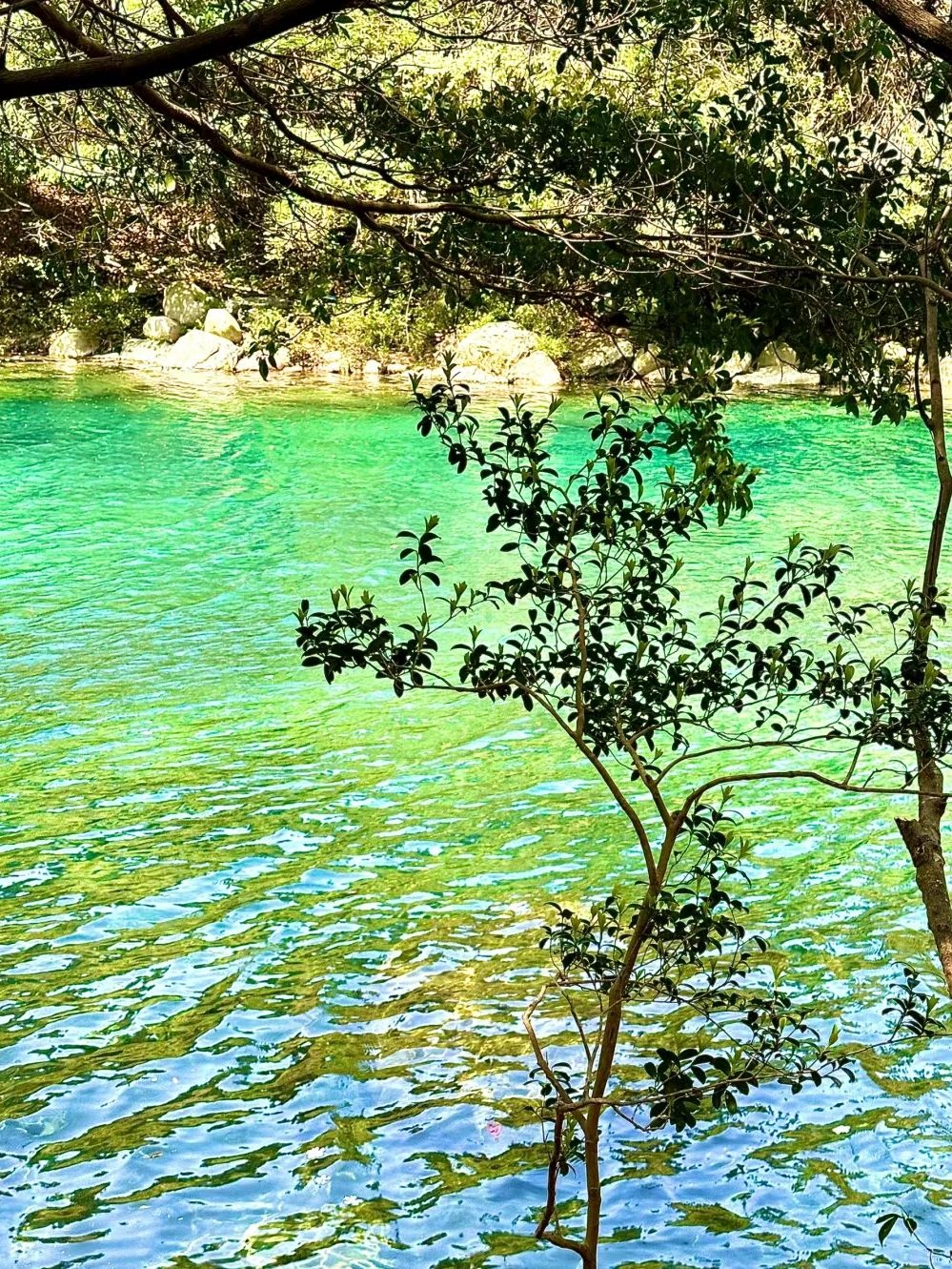 石台县牯牛降景区旅行图片