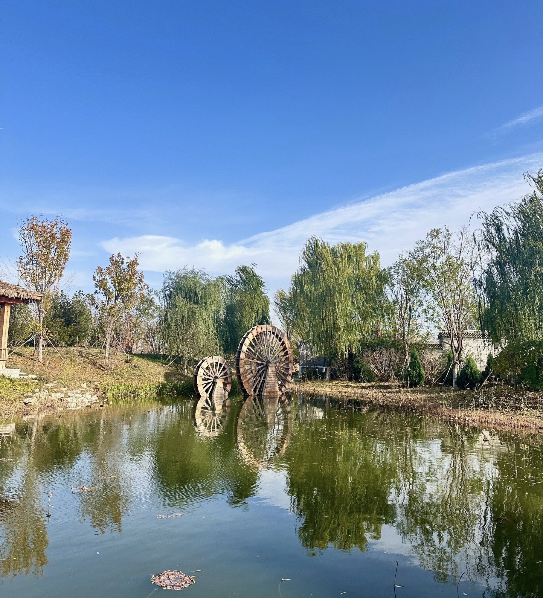 园博园旅行图片 2