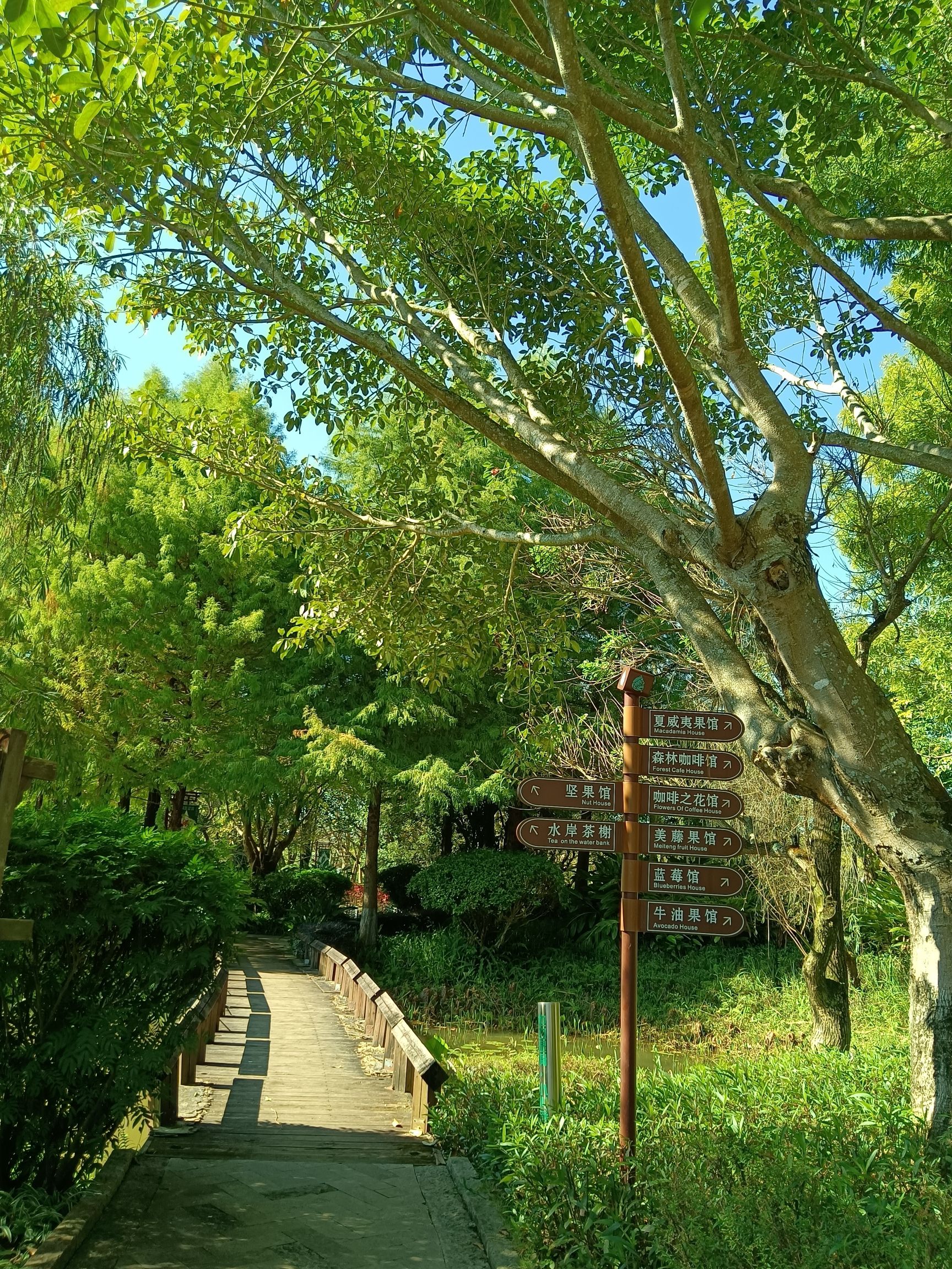 北部湿地公园景点图片