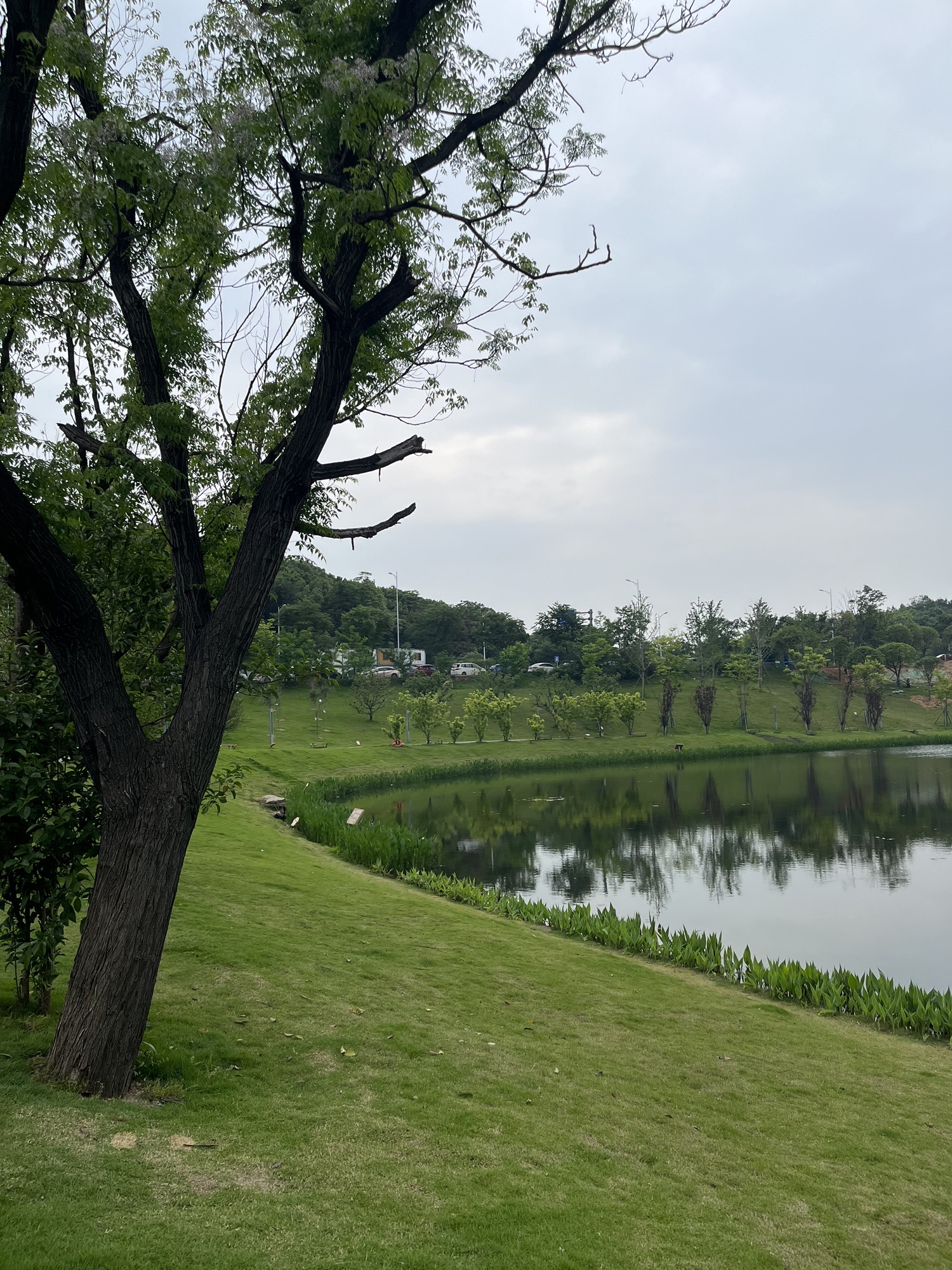 大王山国际旅游度假区旅行图片 3
