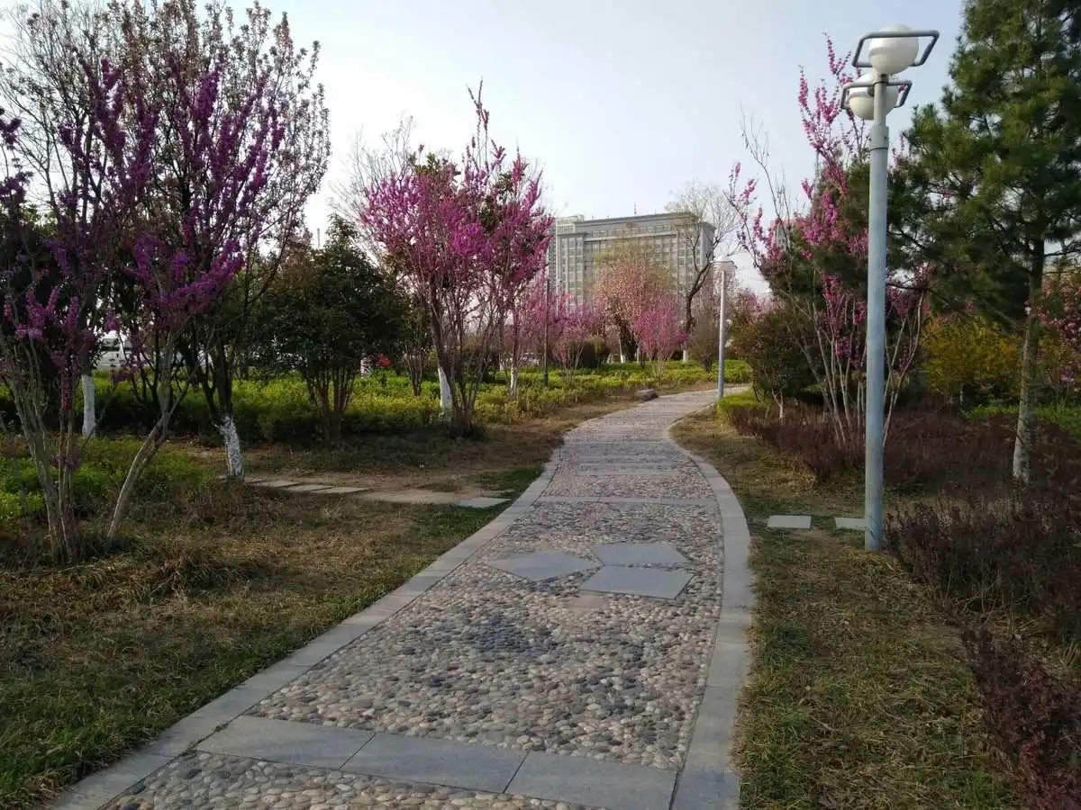 兰陵文化公园旅行图片 2
