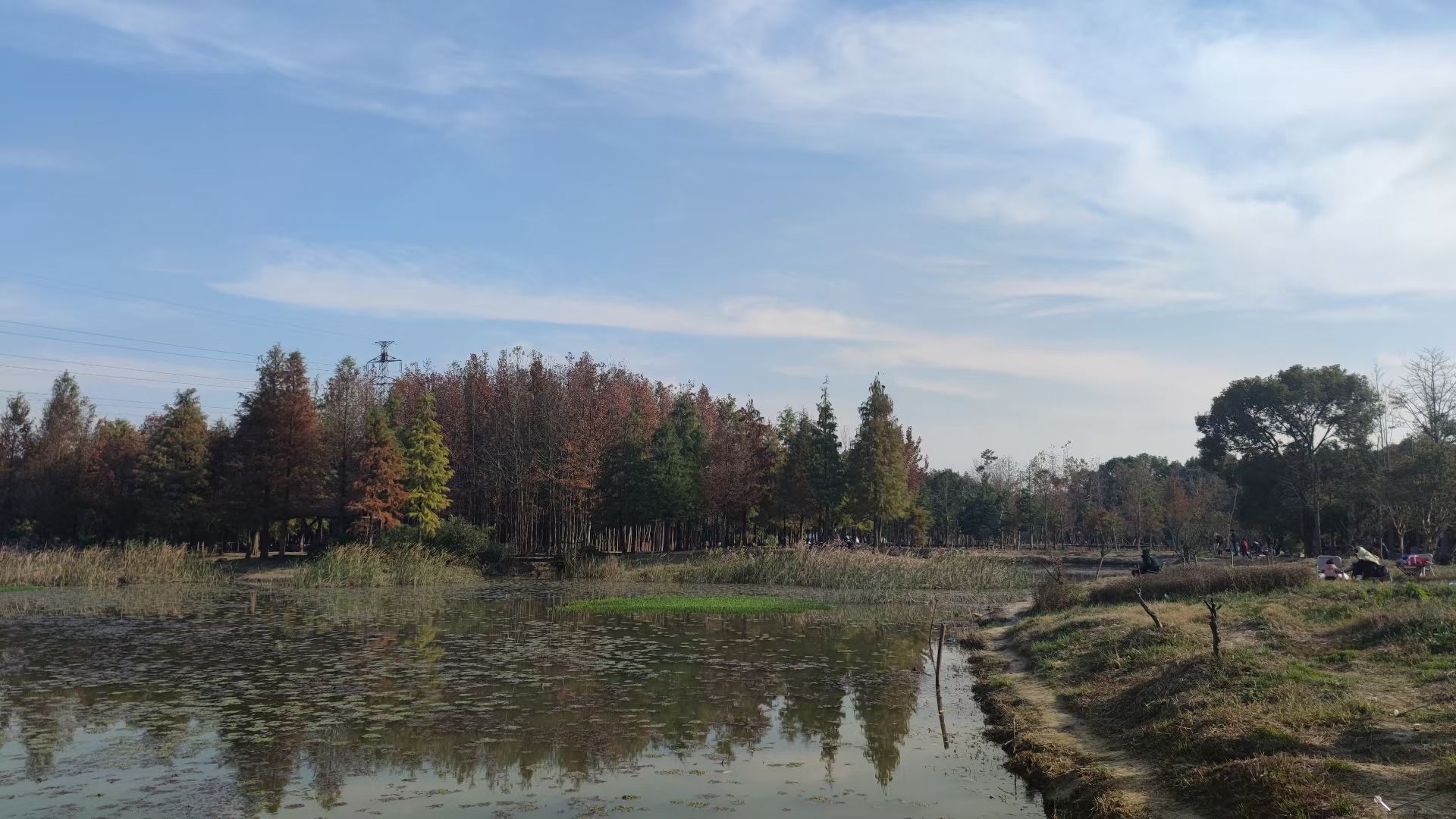 溢彩园旅行图片 1
