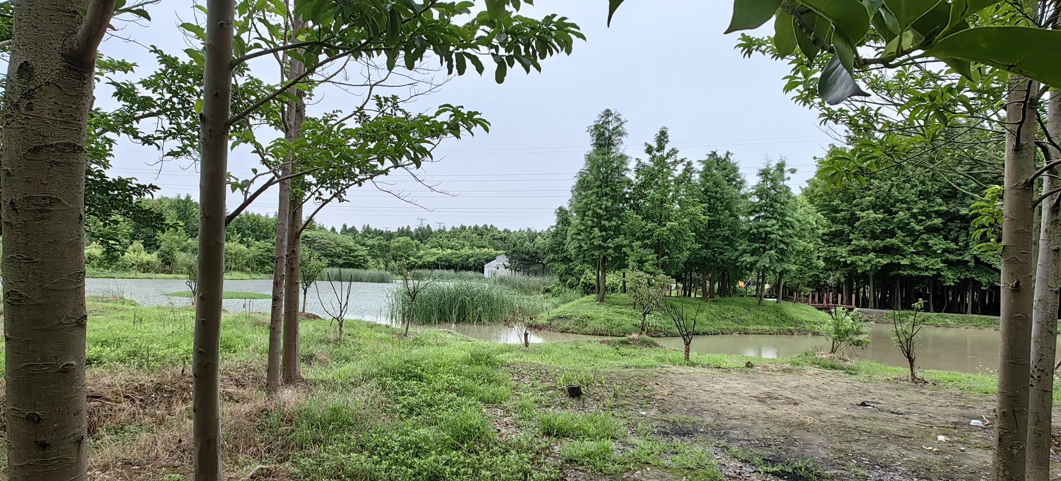 溢彩园旅行图片 1