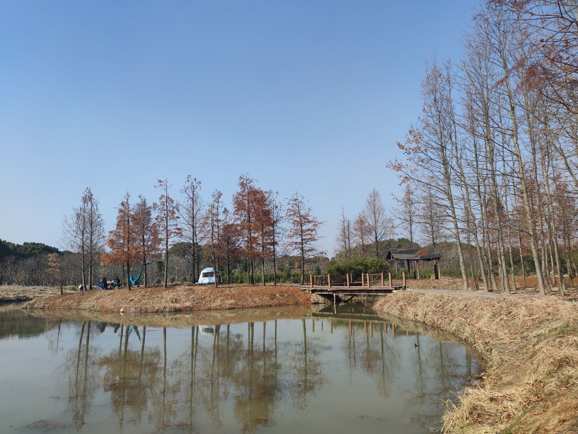 溢彩园旅行图片 1