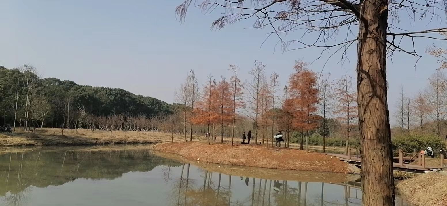 溢彩园旅行图片 3